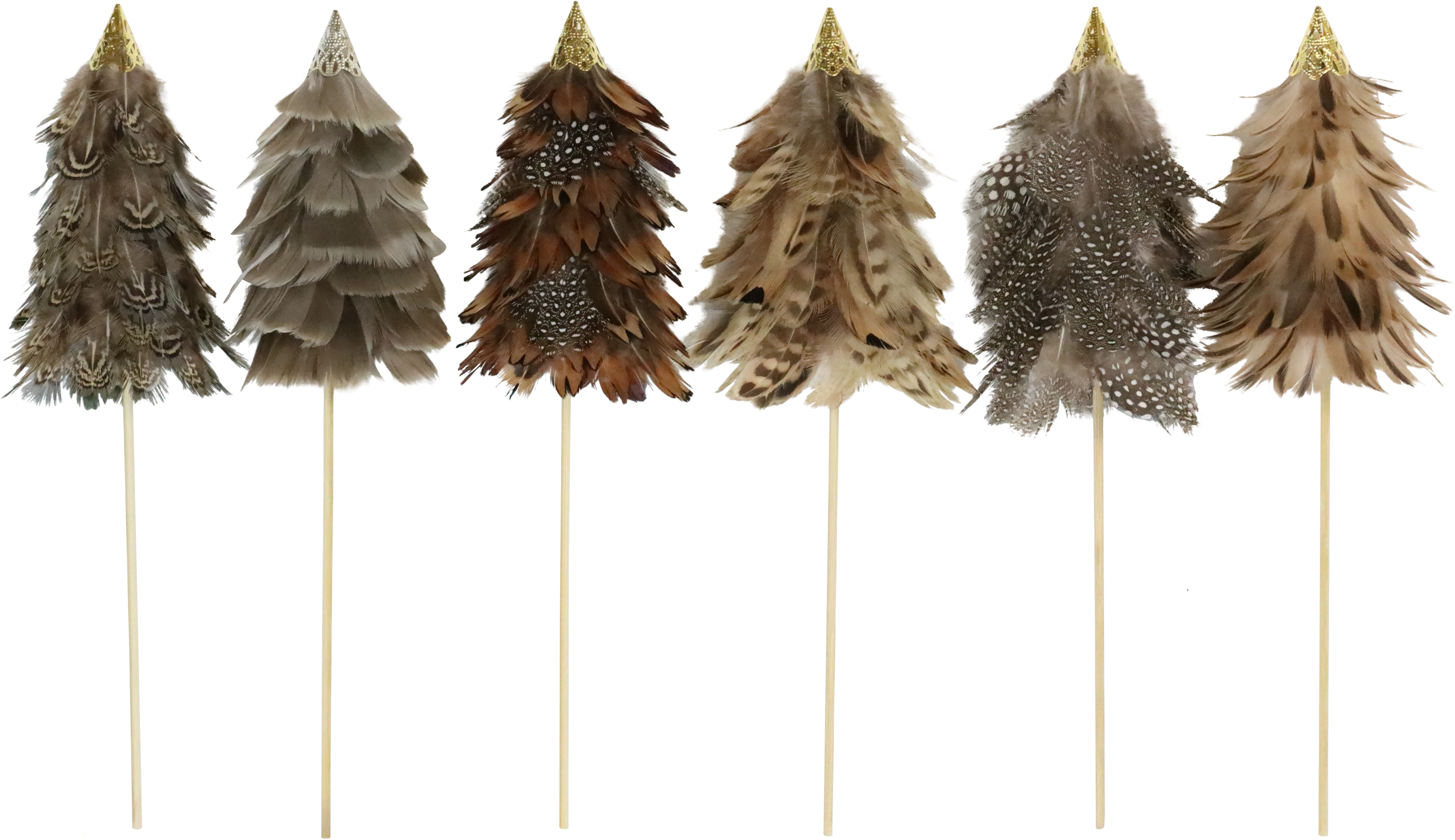 1005 PIÈCES ORNEMENTALES FEDERBÄUME 6P