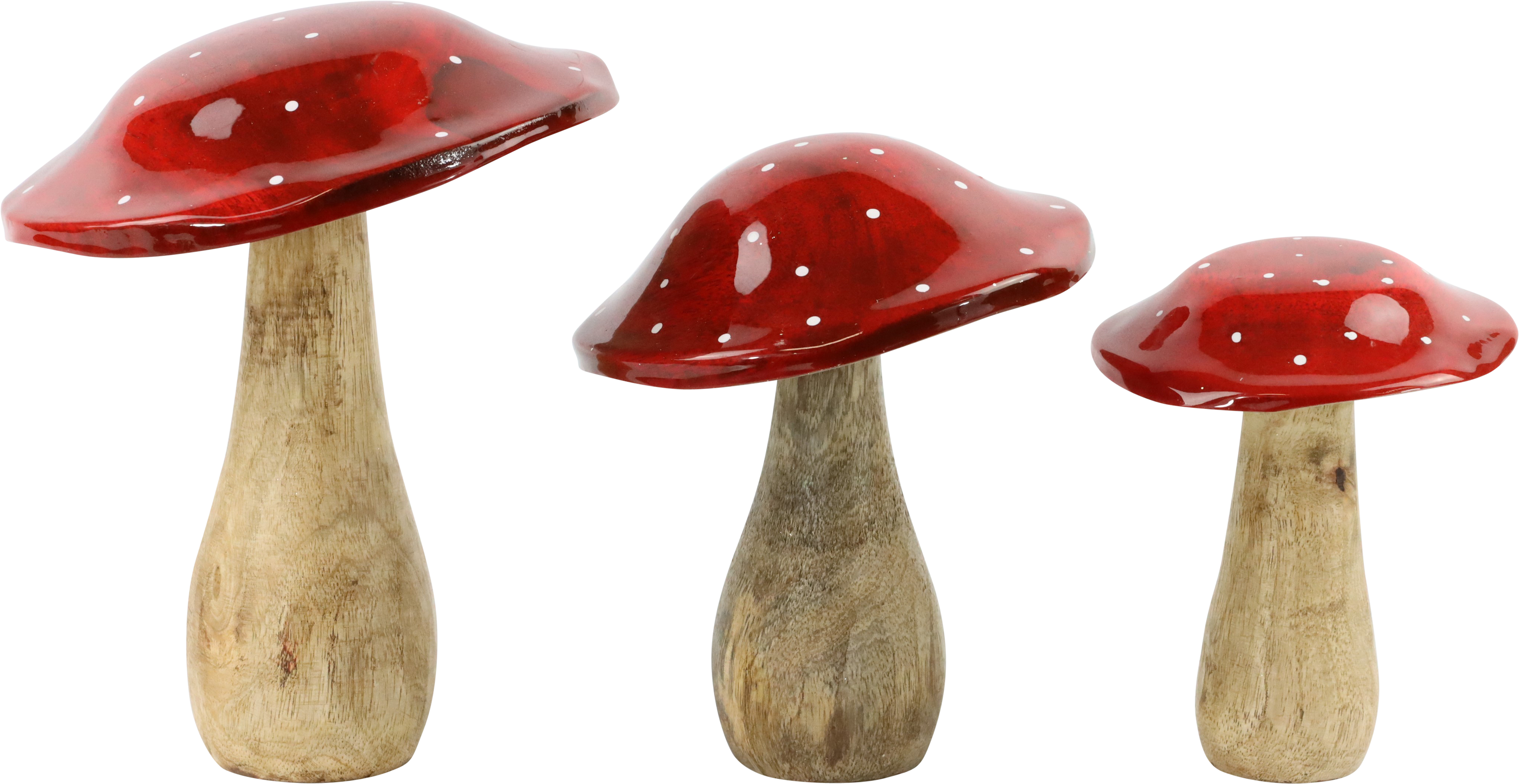 1166 SETA MATAMOSCAS S/3