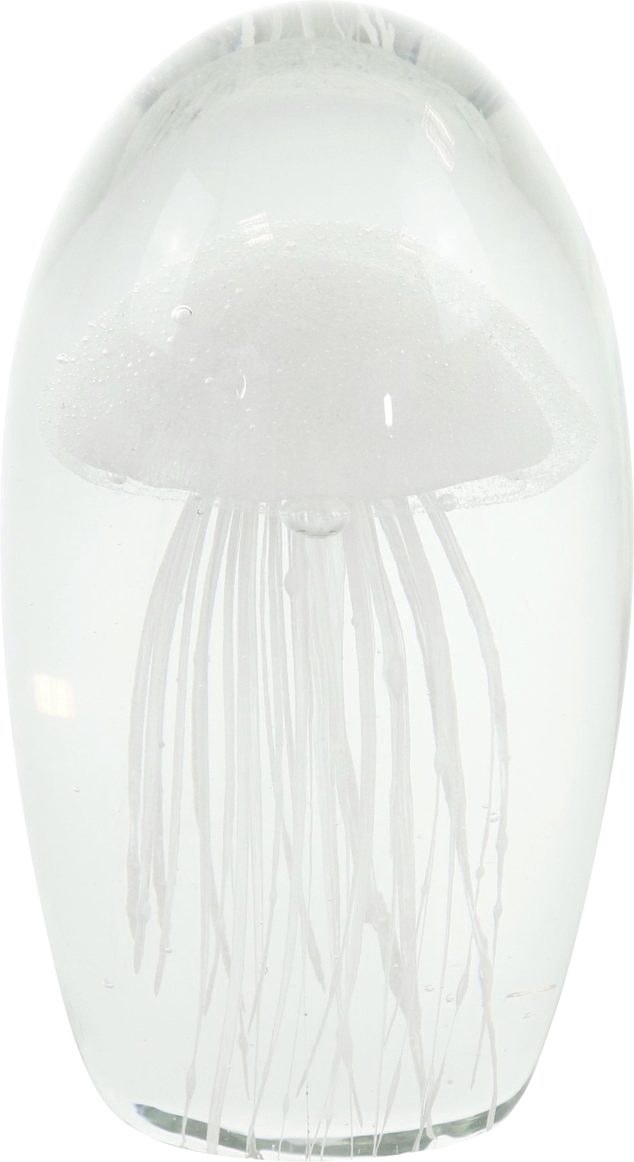 1206 PISAPAPELES  MEDUSA