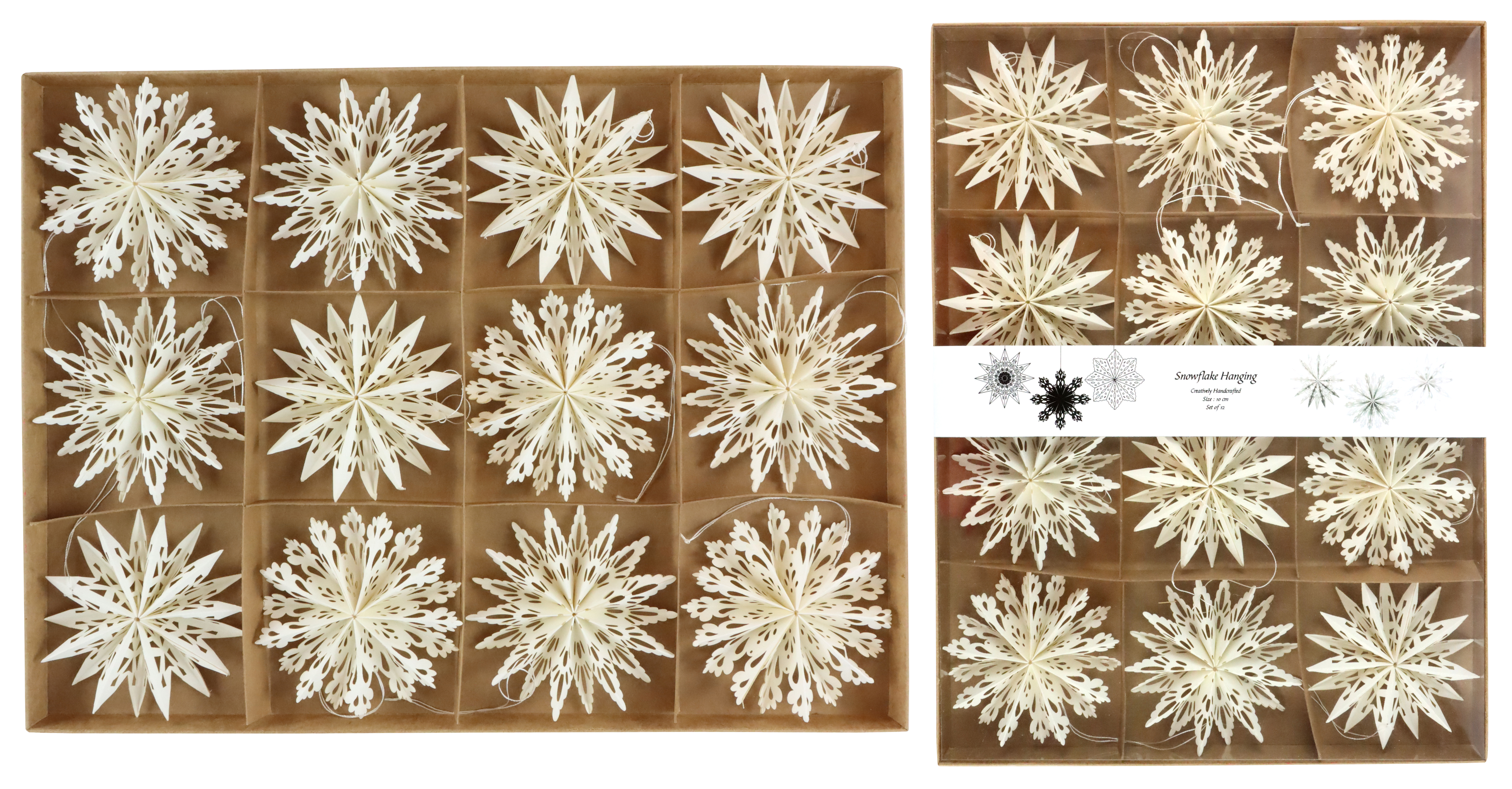 1294 ÉTOILES LUCIA  12P