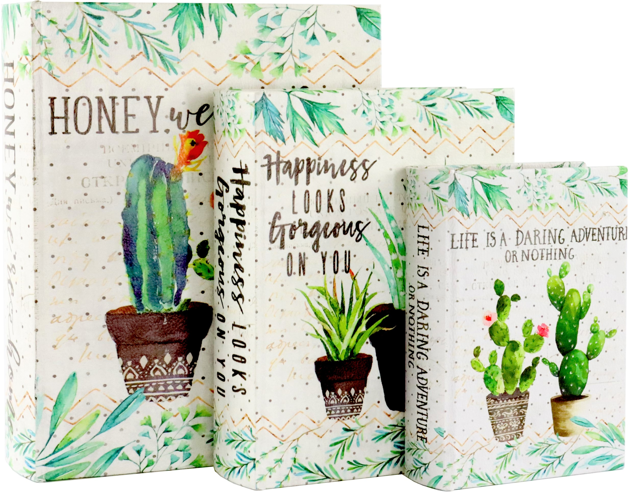 1335 LIVRES  CACTUS  3P