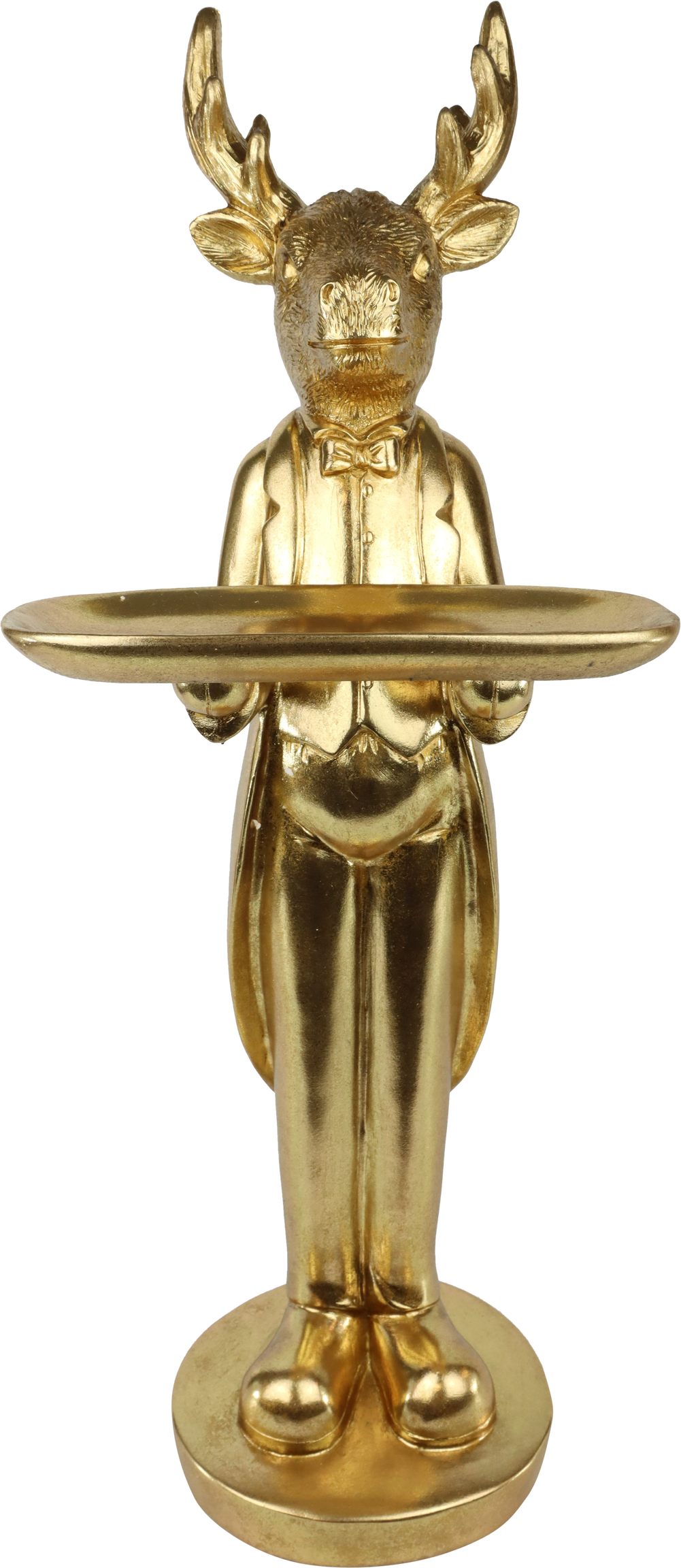 1379 SERVEUR  HIRSCH