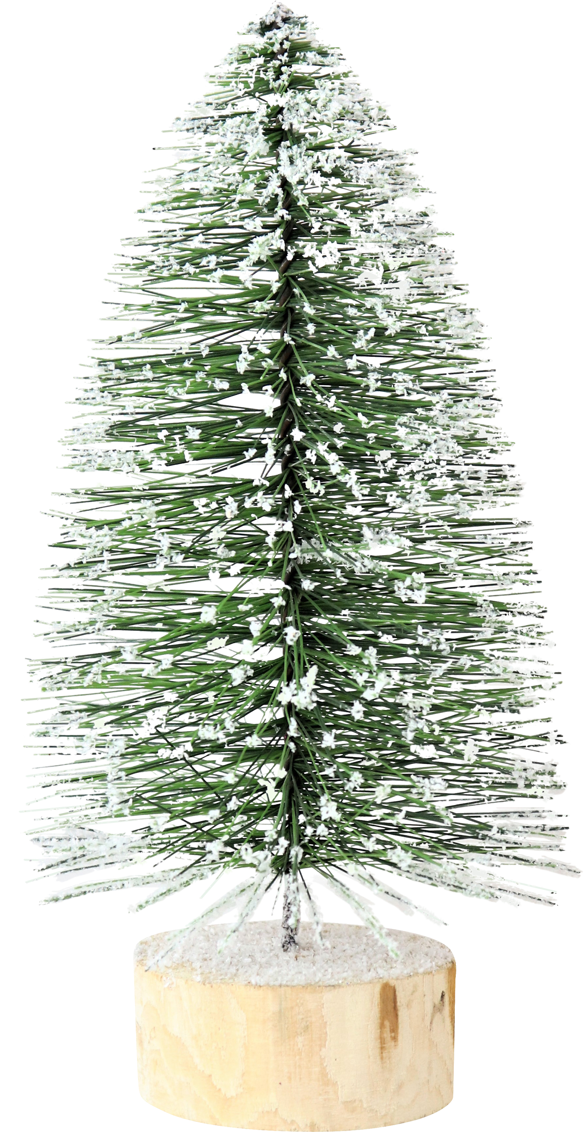 1590 SAPIN  GREENWOOD