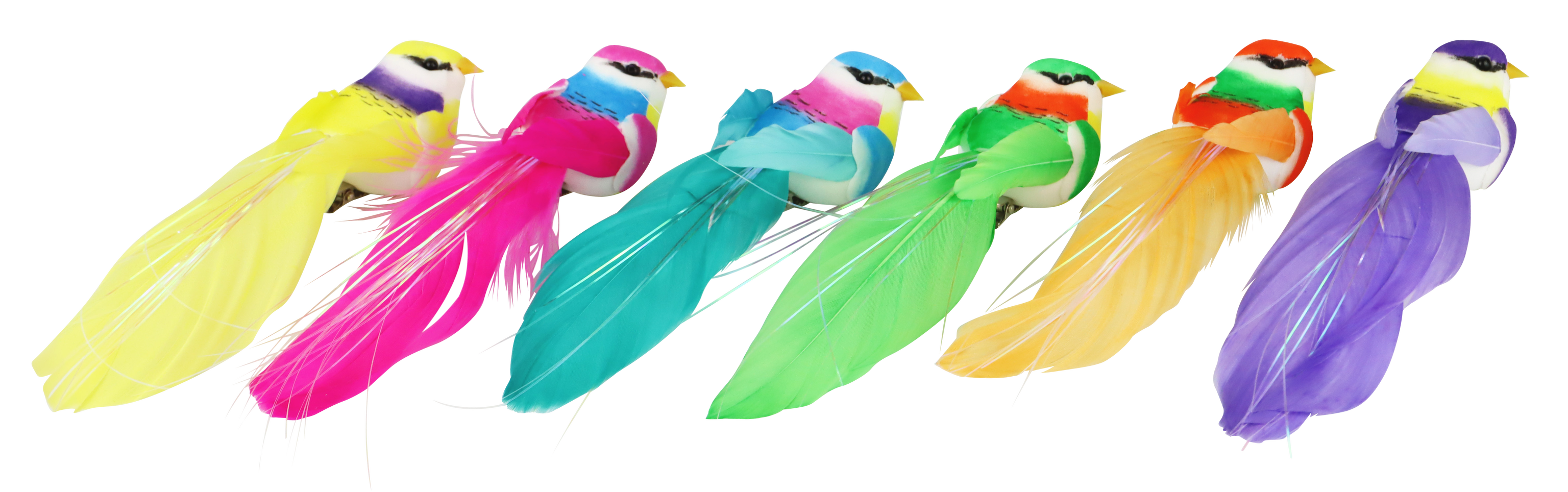 1691 ALAMARES BEAUTIFUL BIRDS  S/6