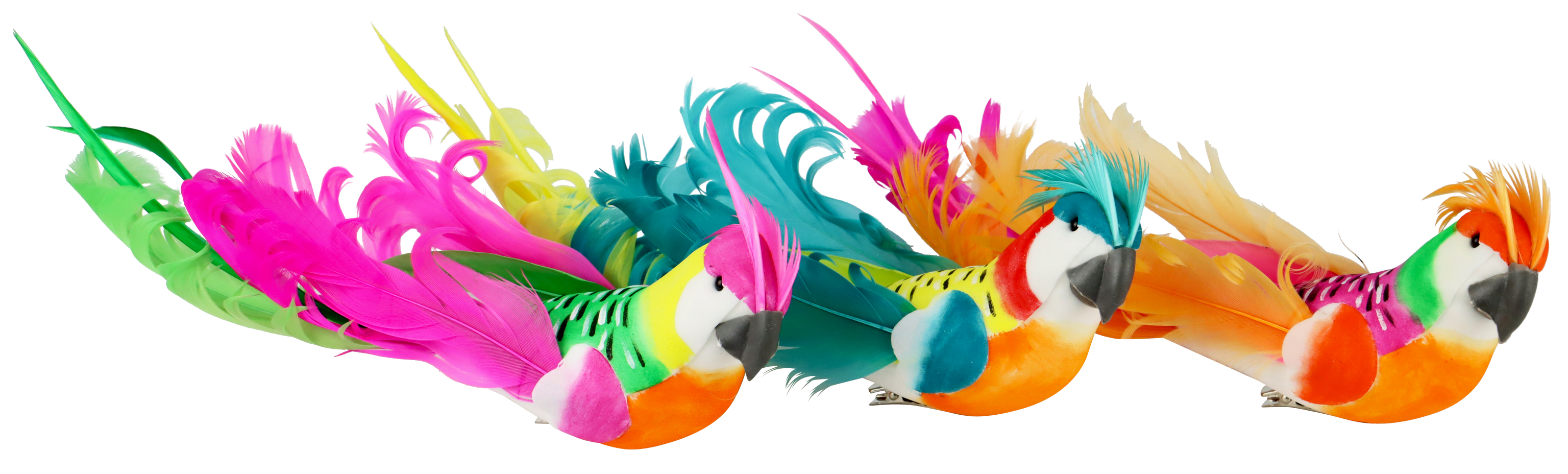 1693 ALAMARES BEAUTIFUL PARROTS  S/3