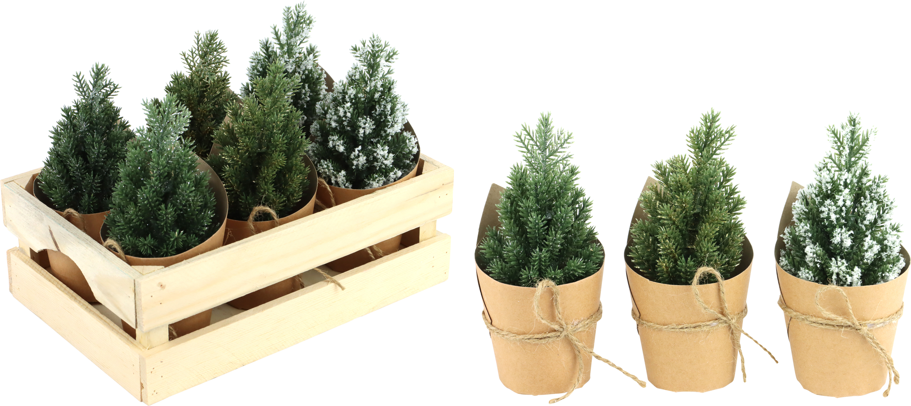 1843 SAPIN CAISSE « FORÊT D'HIVER » 6P