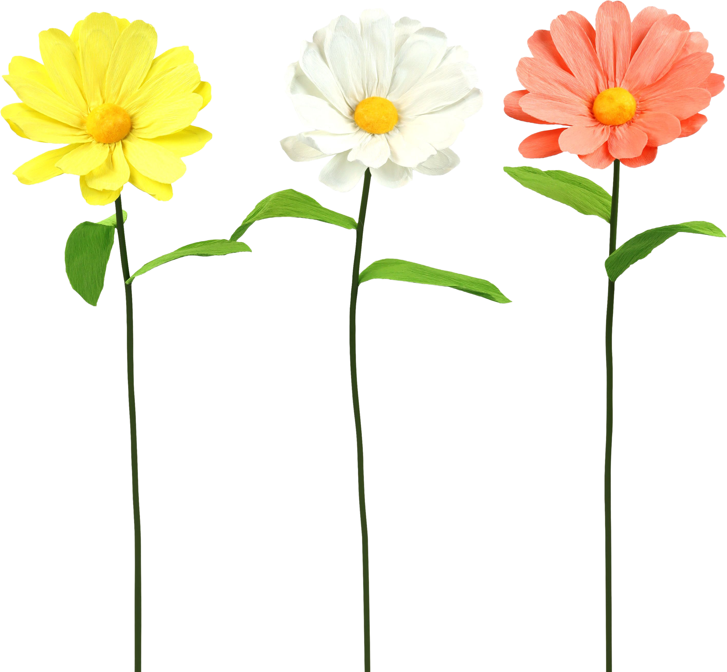 2014 FLOWERS  DAISY  S/3