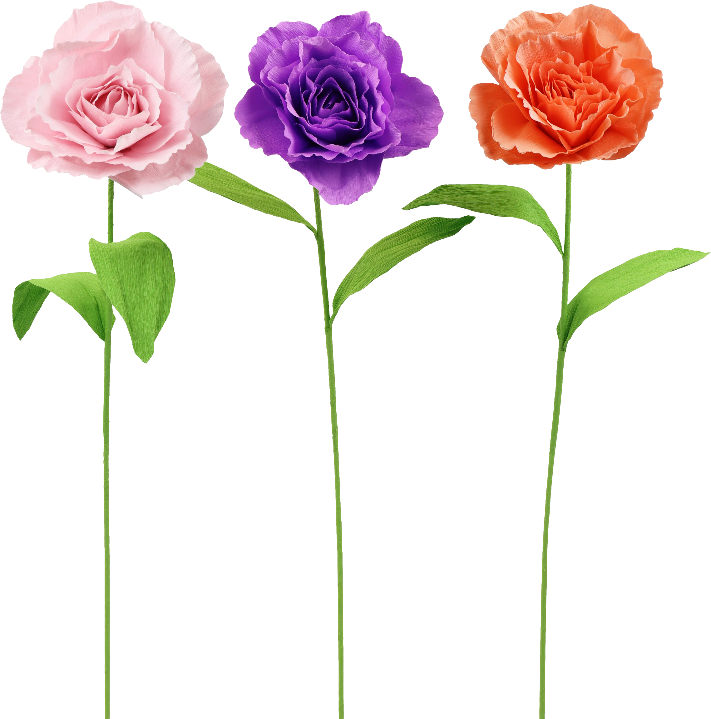 2019 FLOWERS  ROSY  S/3