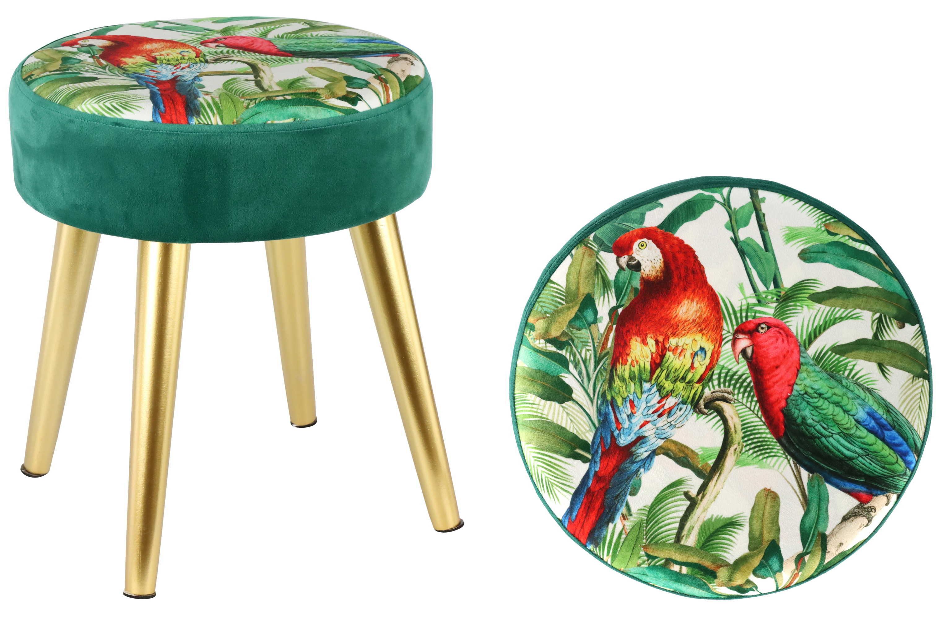 2146 CUCHILLOS PARROTS