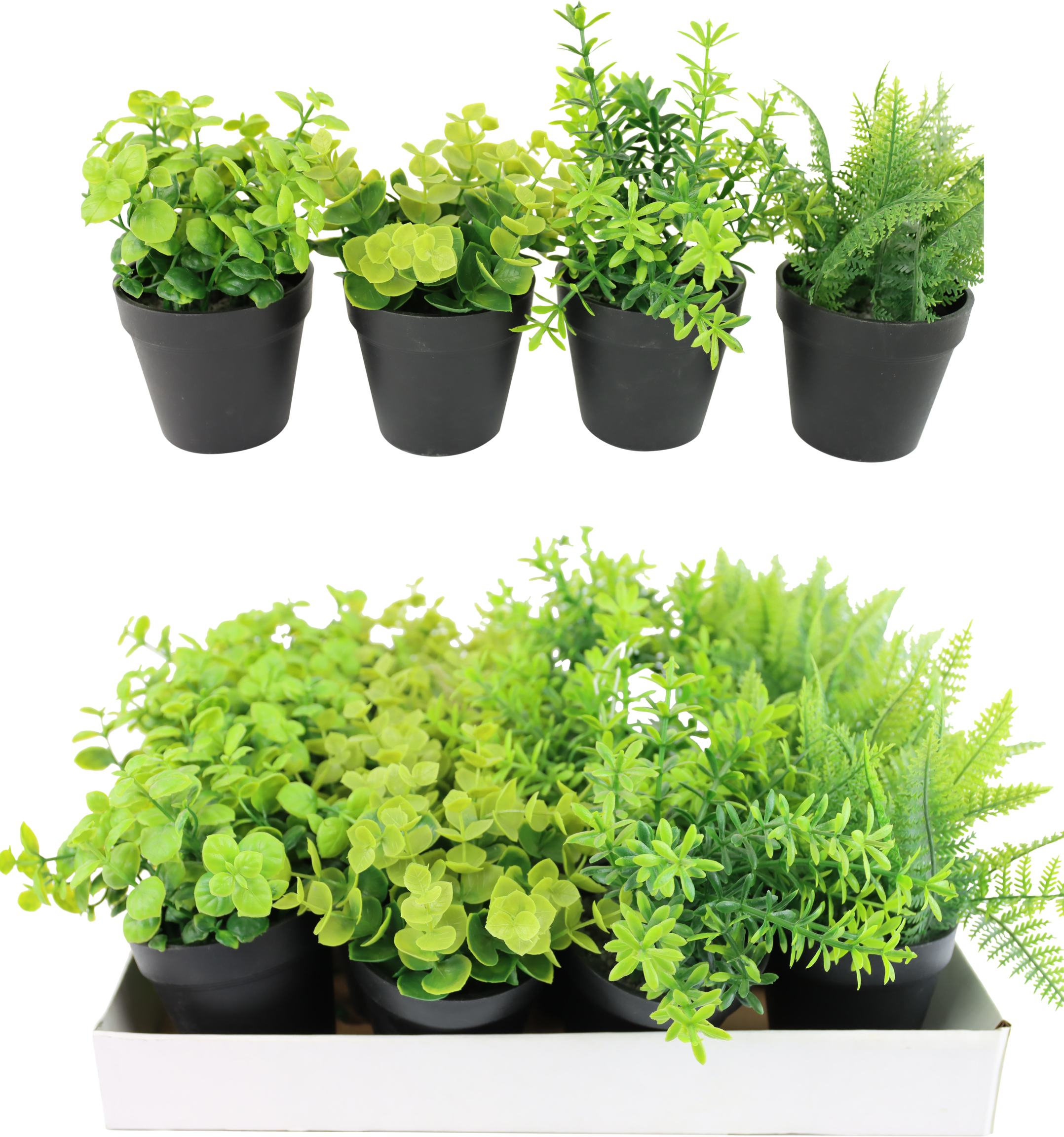 2418 DISPLAYBOX KÄUTERTÖPFE  16P