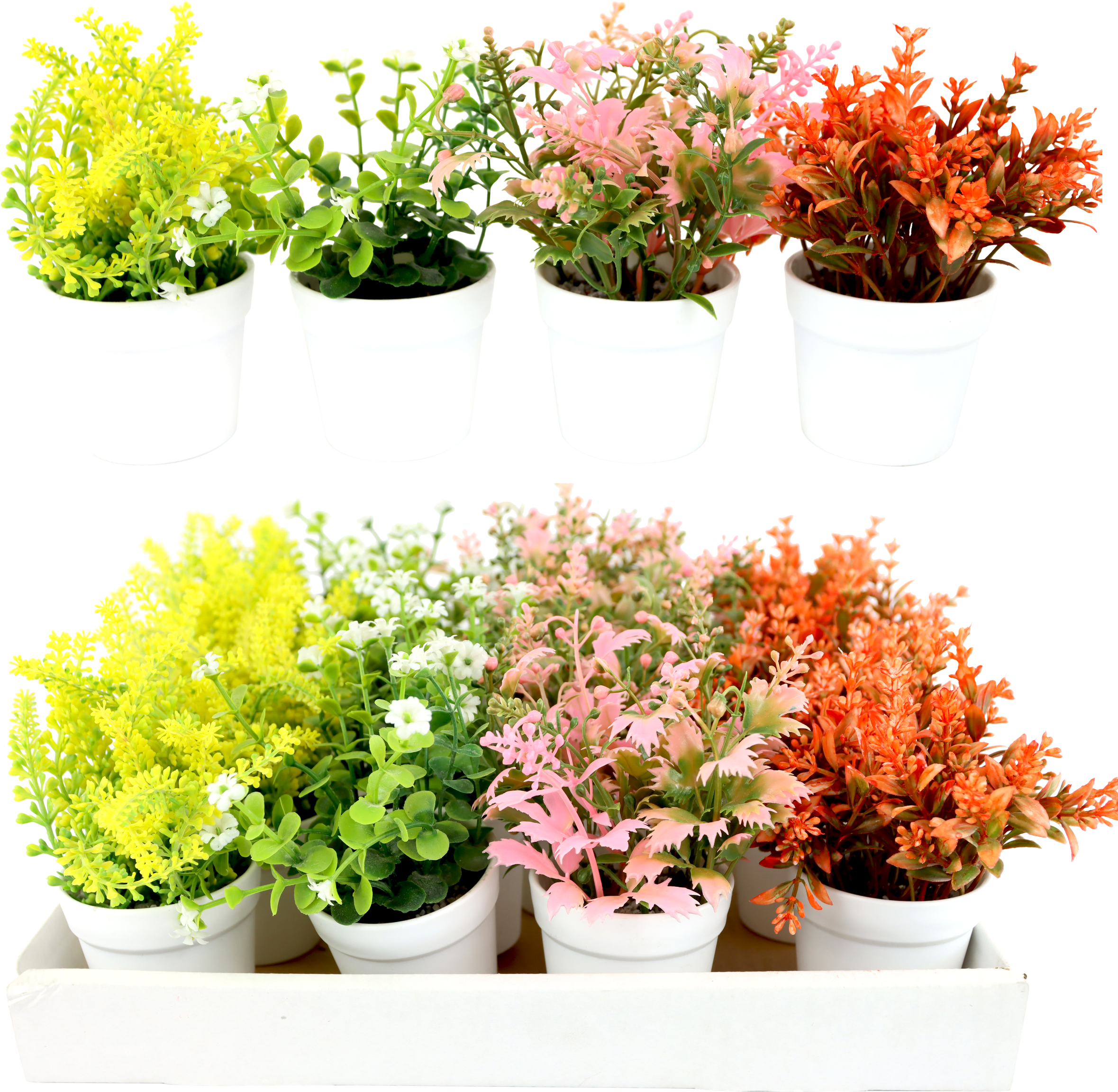 2419 BOÎTE DE PRESENTA BLUMENTÖPFE  16P