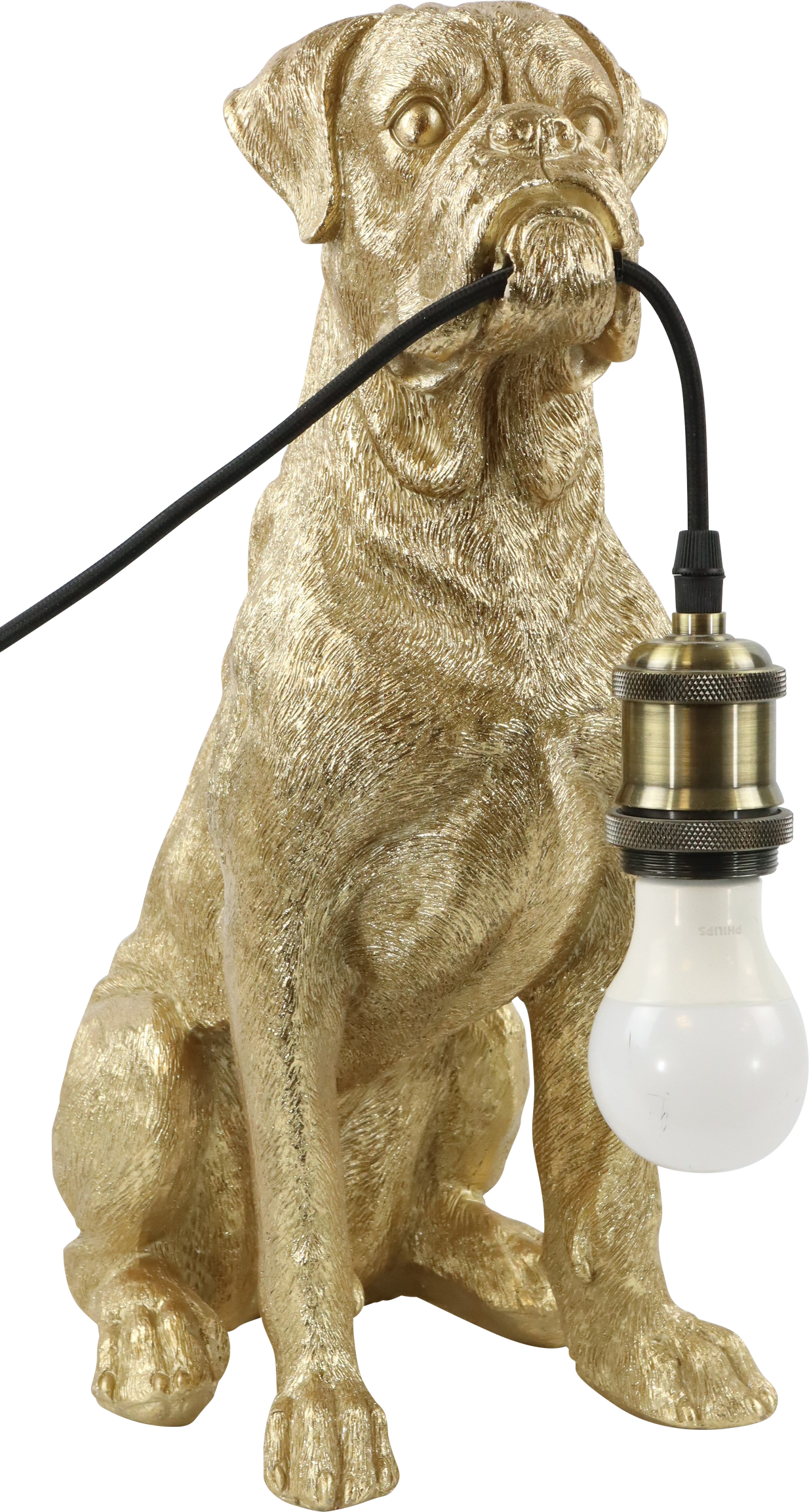 2475 LAMPE  CHIEN
