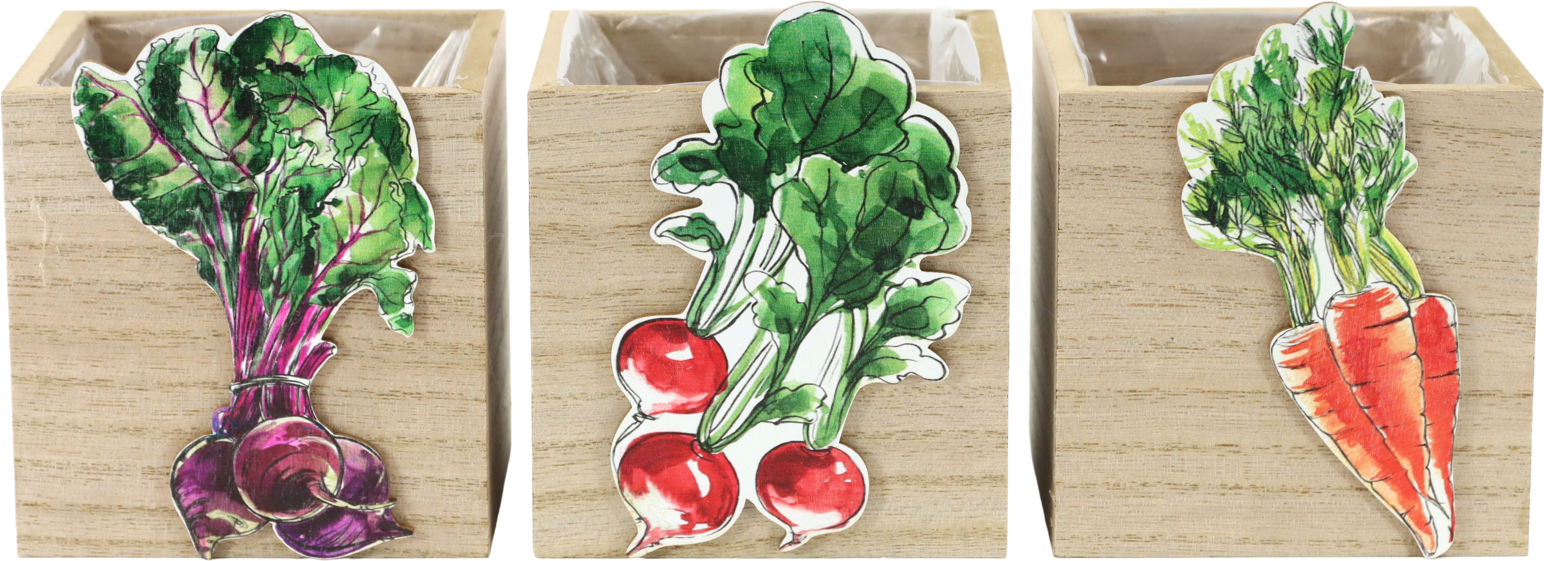 2679 WOODENBOXES VEGGIE VIBES  S/3