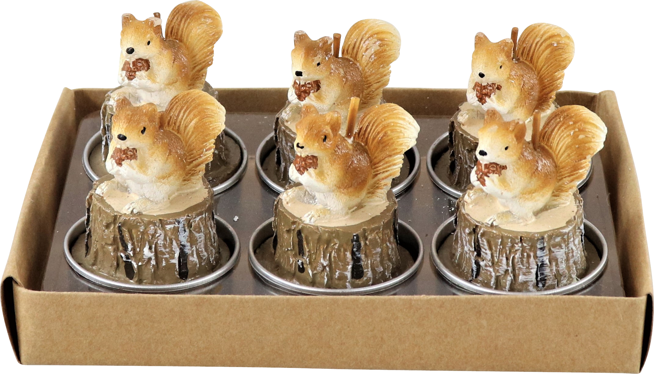 3125 PHOTOPHORE  ÉCUREUIL  6P