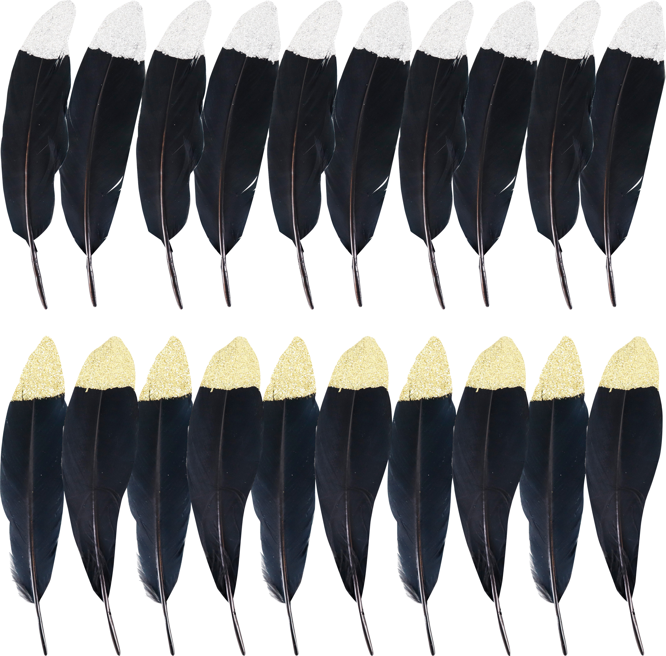 3313 PLUMES  NOIR  20P