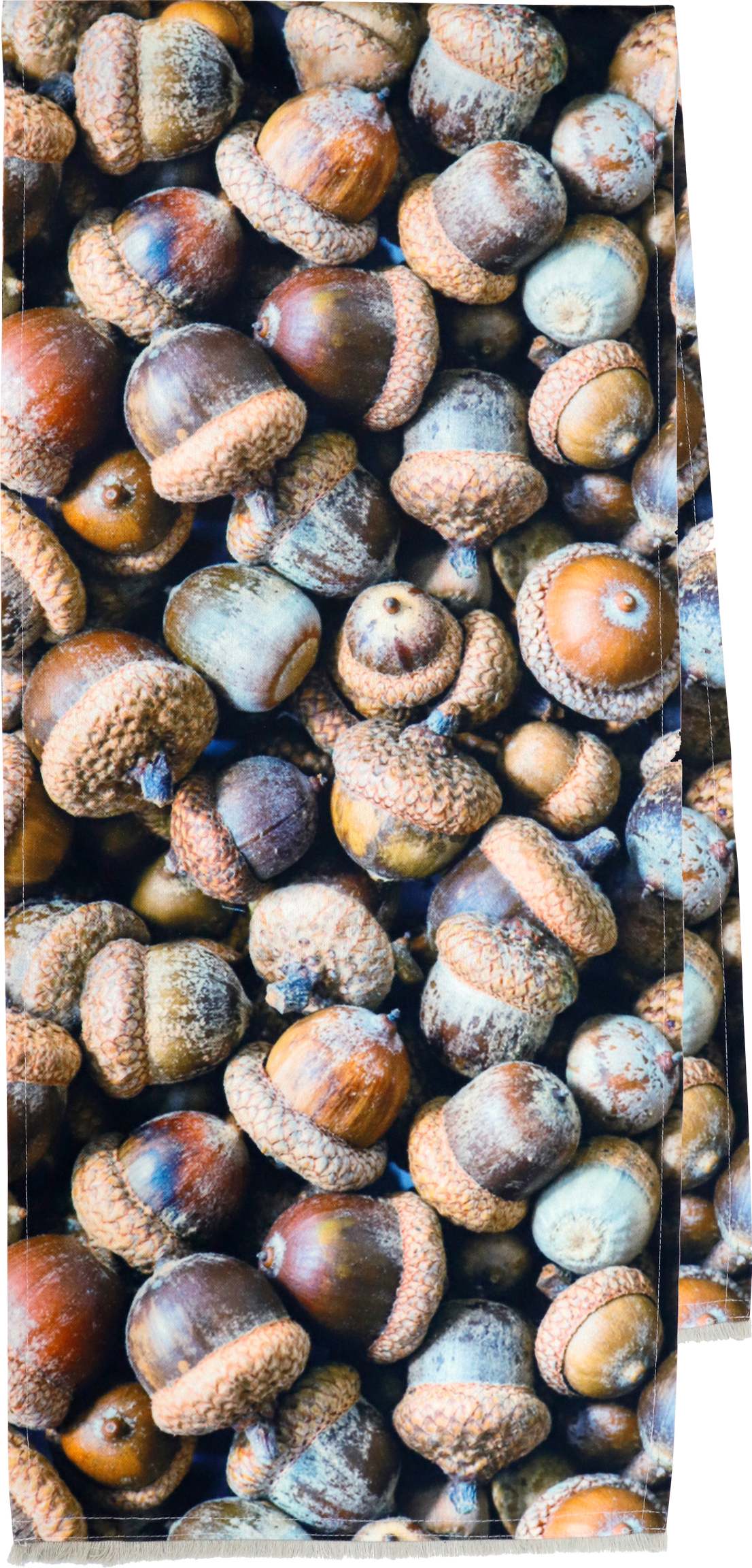 3437 CAMINO DE MESA RED OAK 40X150