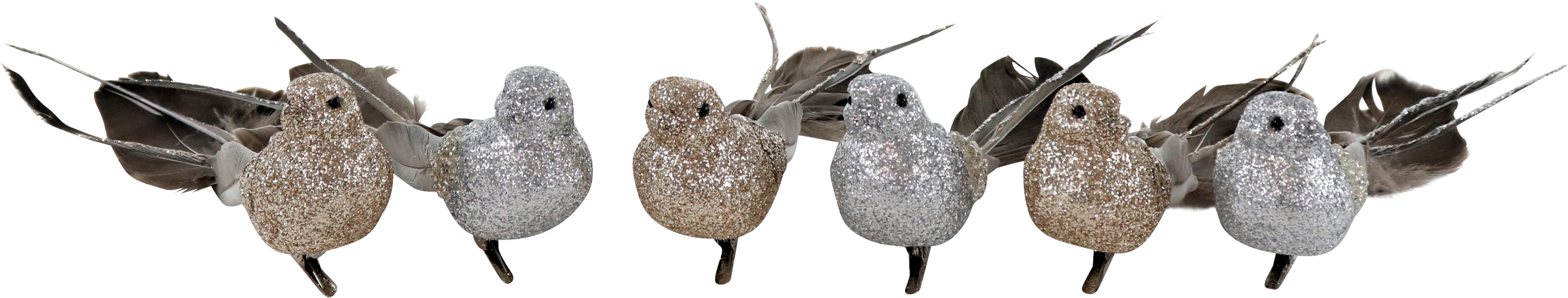 3469 PÁJAROS  FEDERSTOLZ  S/6