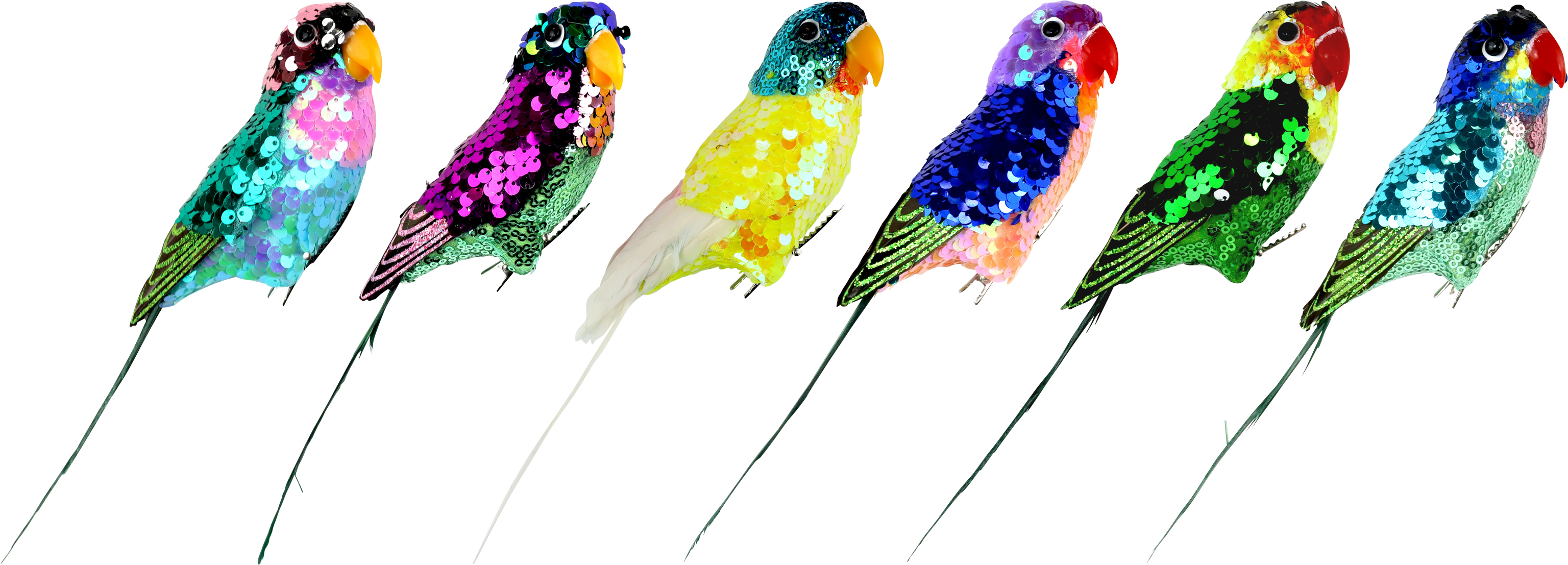 3610 PERROQUETS SPARKLE WINGS  6P