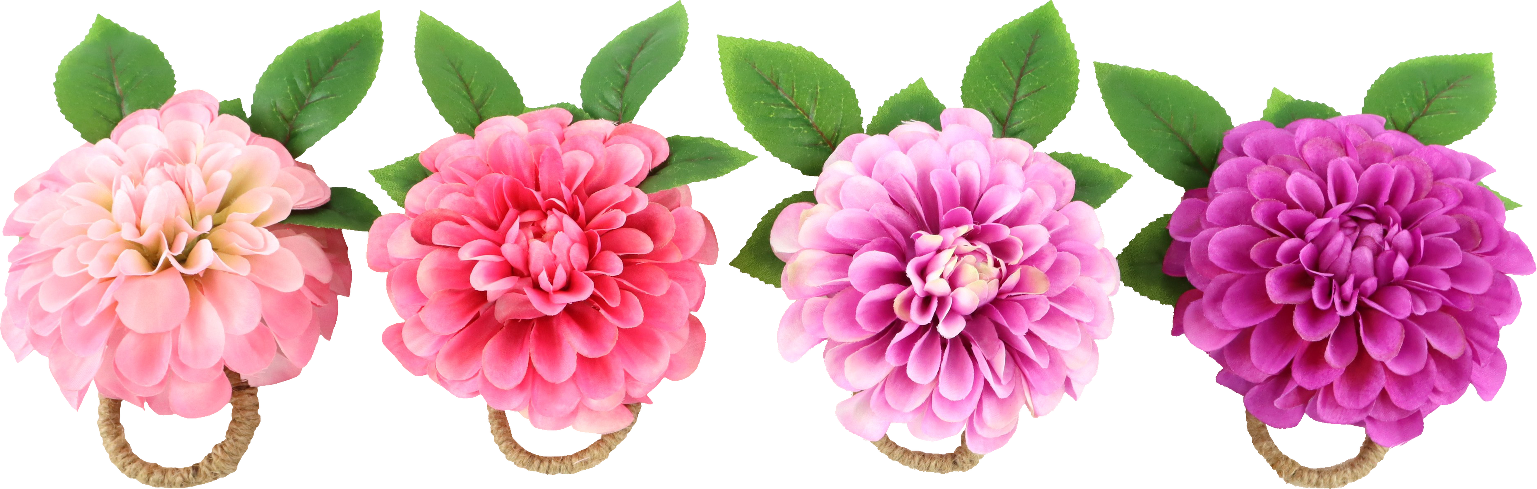 3729 ANELLI TOV. DAHLIA BLISS  4PZ