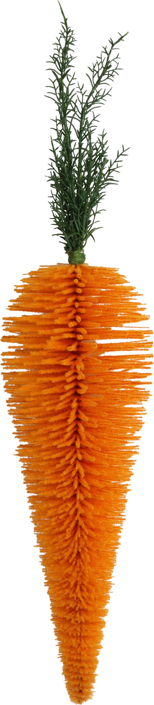 3976 CAROTTE GÉANTE  FELIZ