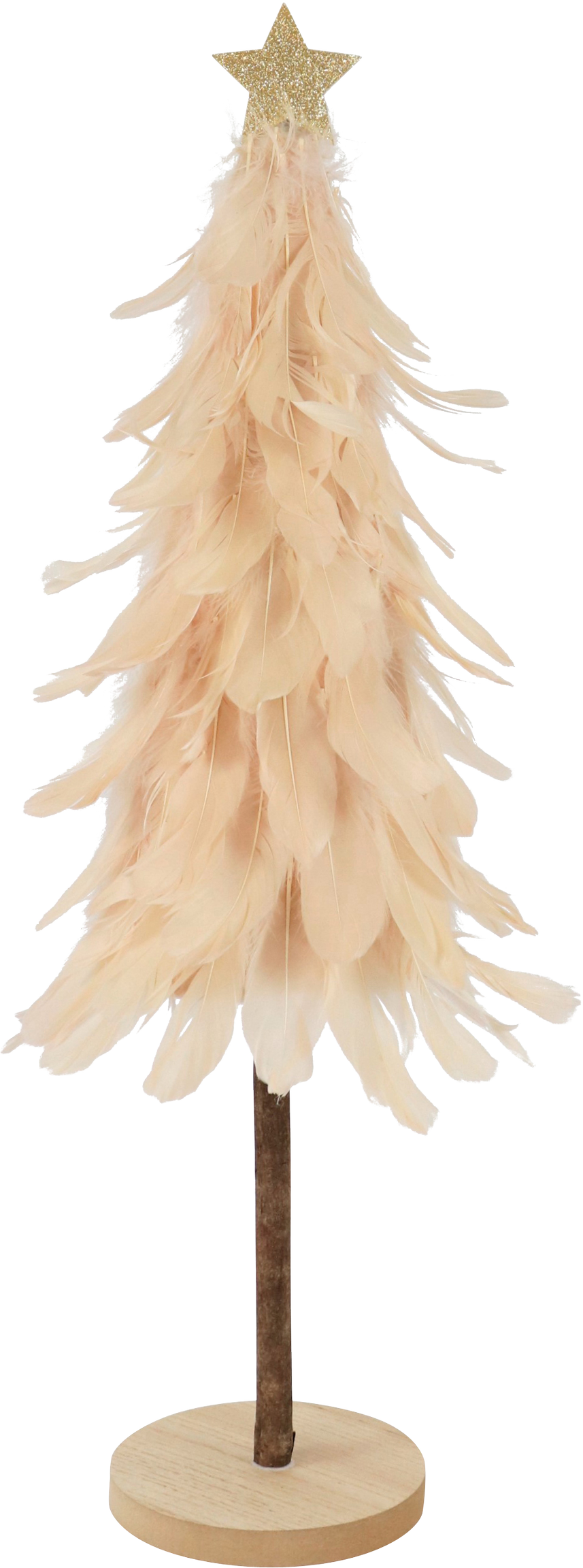 4057 ARBRE PLUMES  PERFECT BLUSH
