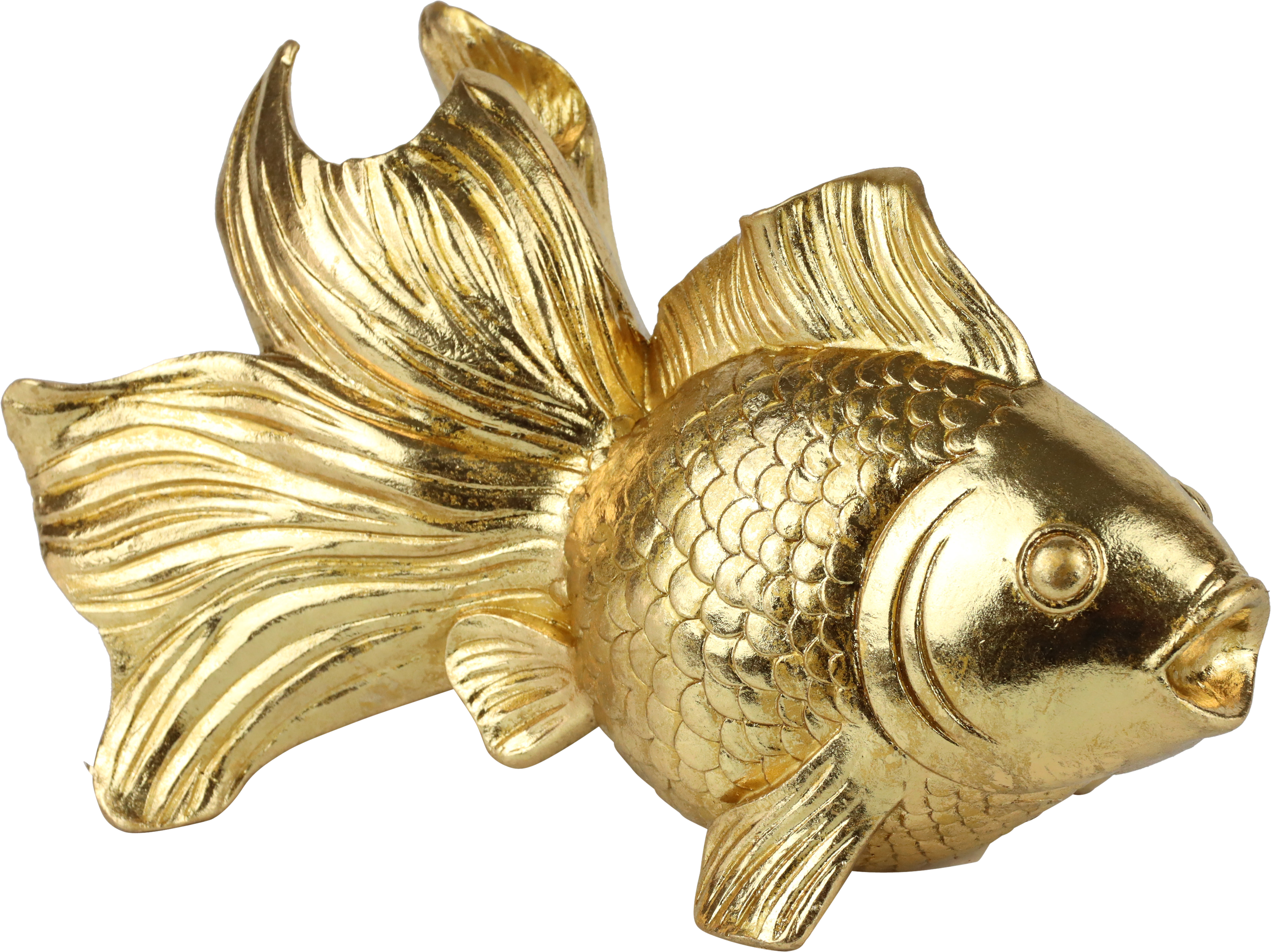 4138 POISSONS GOLDRAUSCH