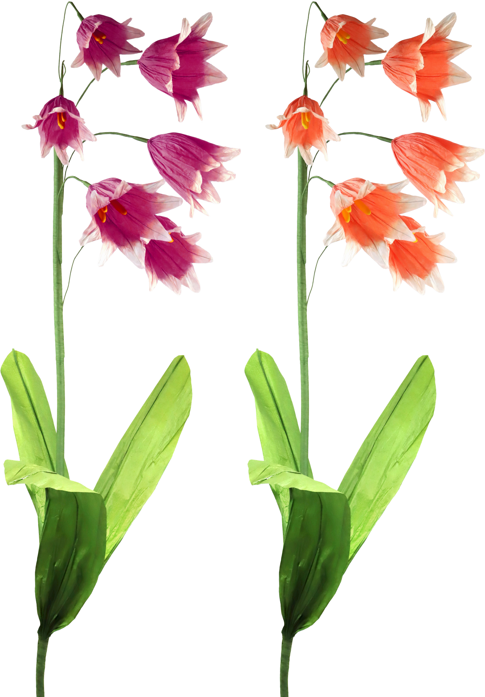 4444 FLEURS DÉCORATIVES BELLFLOWER  2P