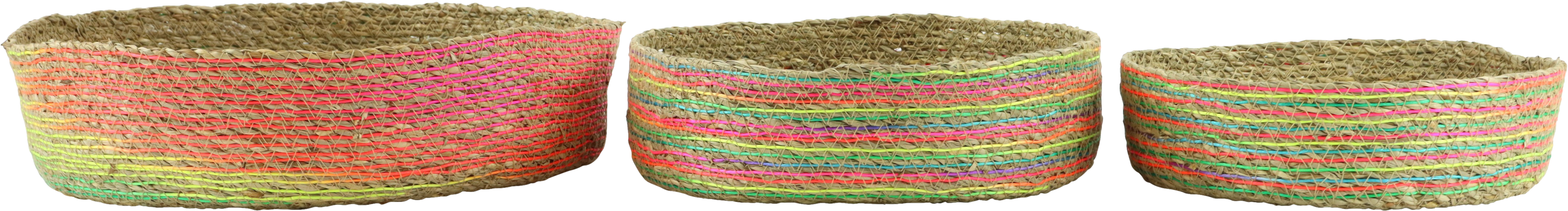 4484 CIOTOLE CESTO RAINBOW ROOTS  3PZ