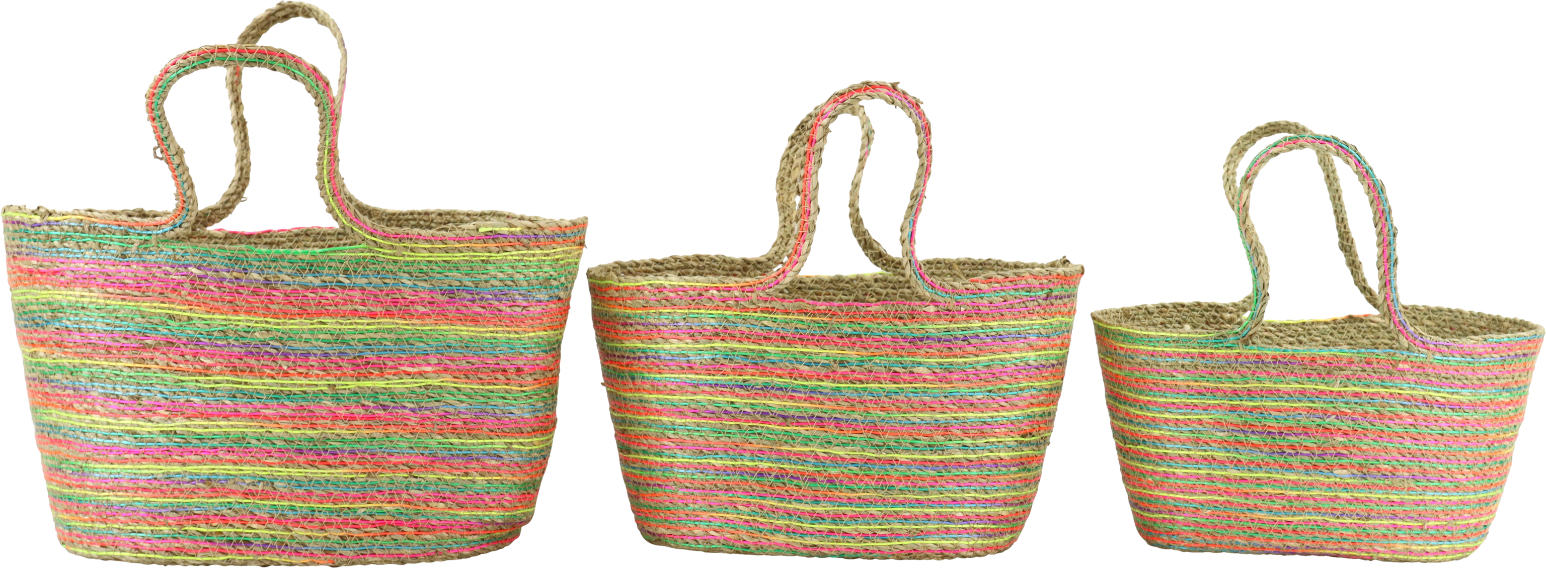4485 BORSE CESTO RAINBOW ROOTS  3PZ
