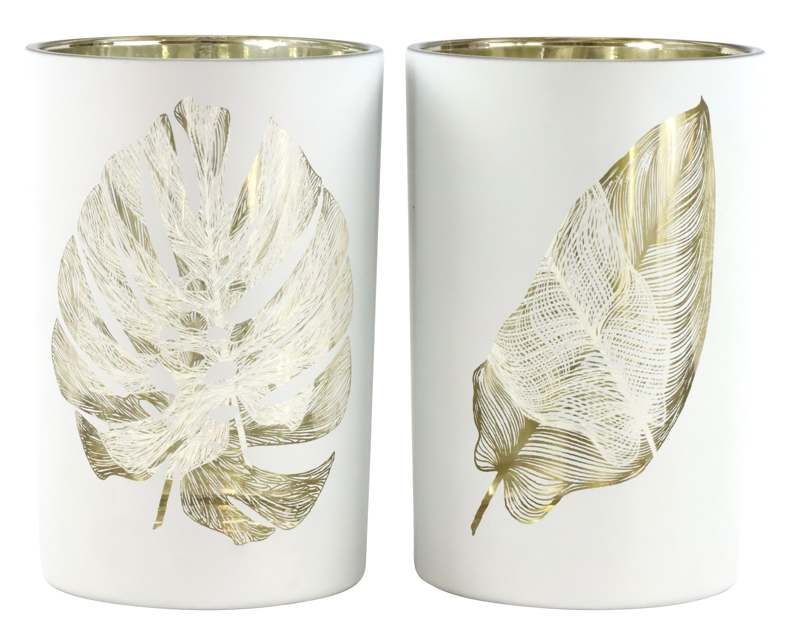 4541 PHOTOPHORES  GOLDBLATT  2P