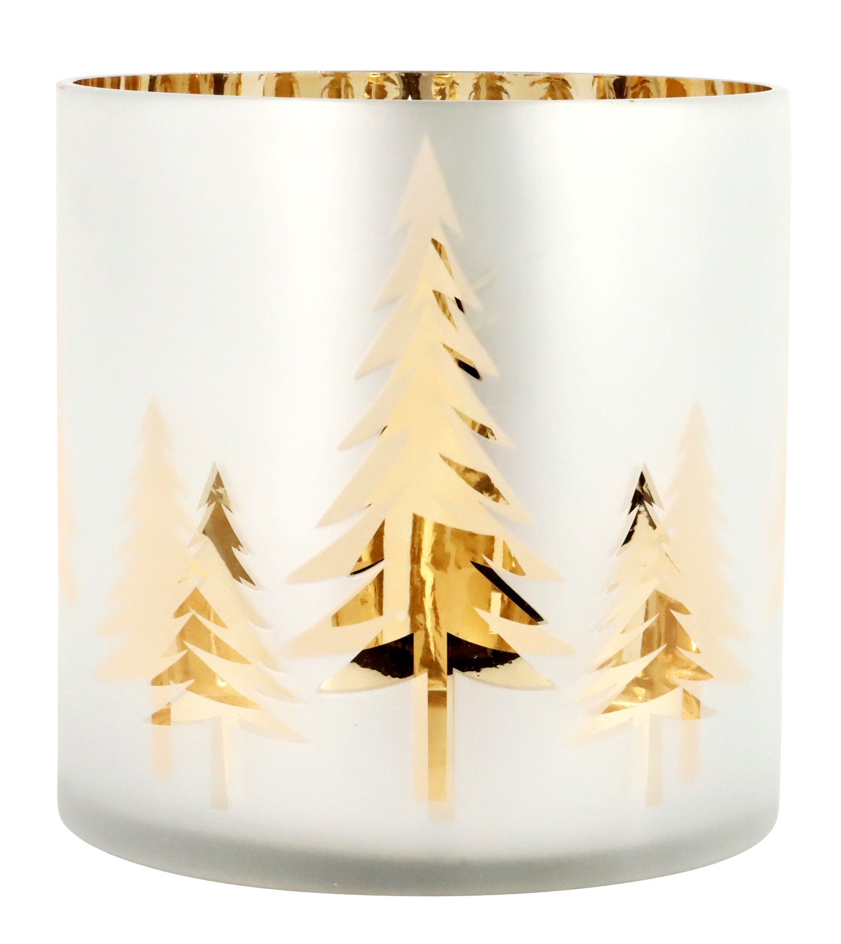 4596 LUMIERE  FORET D'HIVER