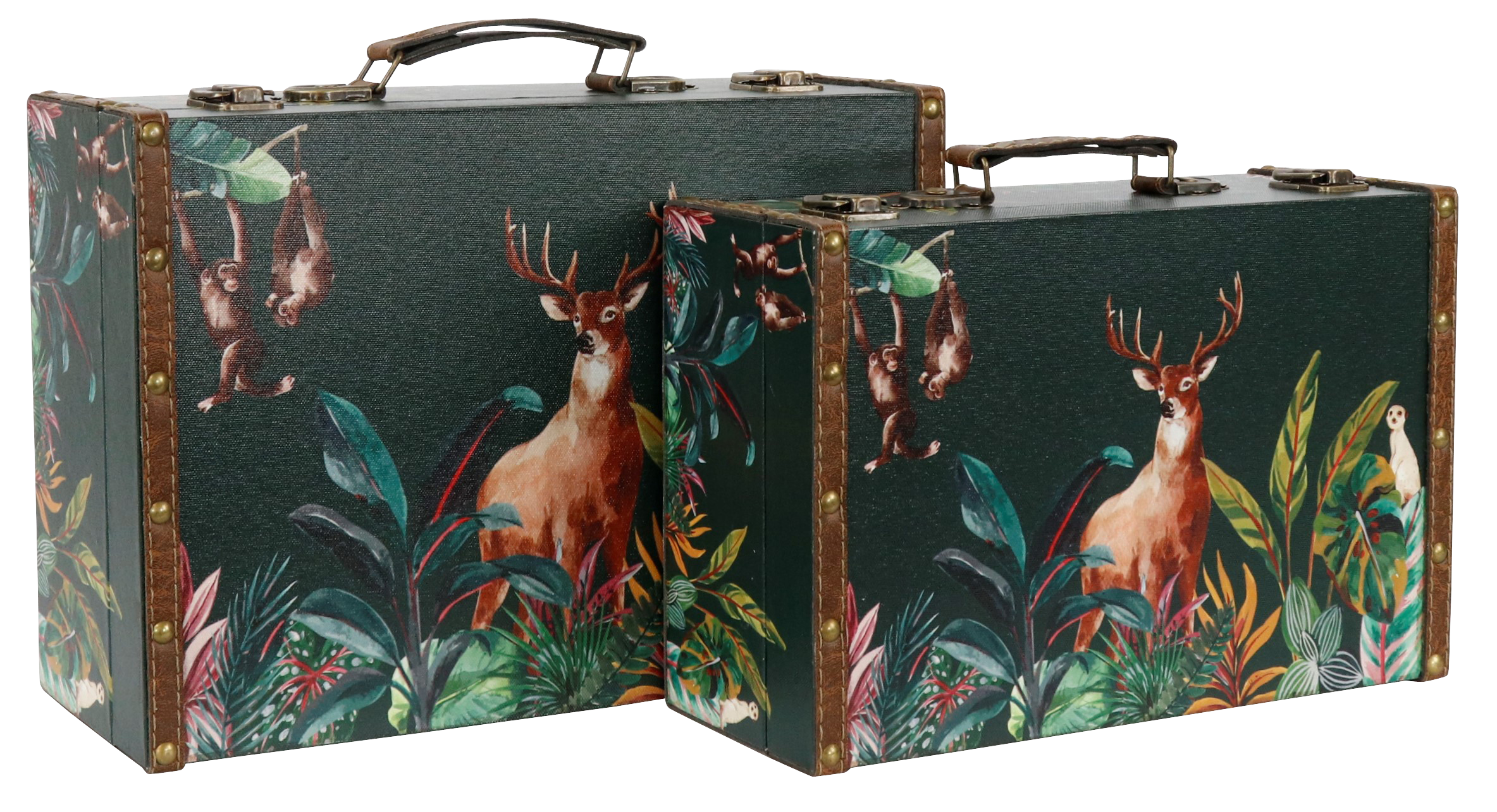 4766 VALISES  HIRSCH  2P