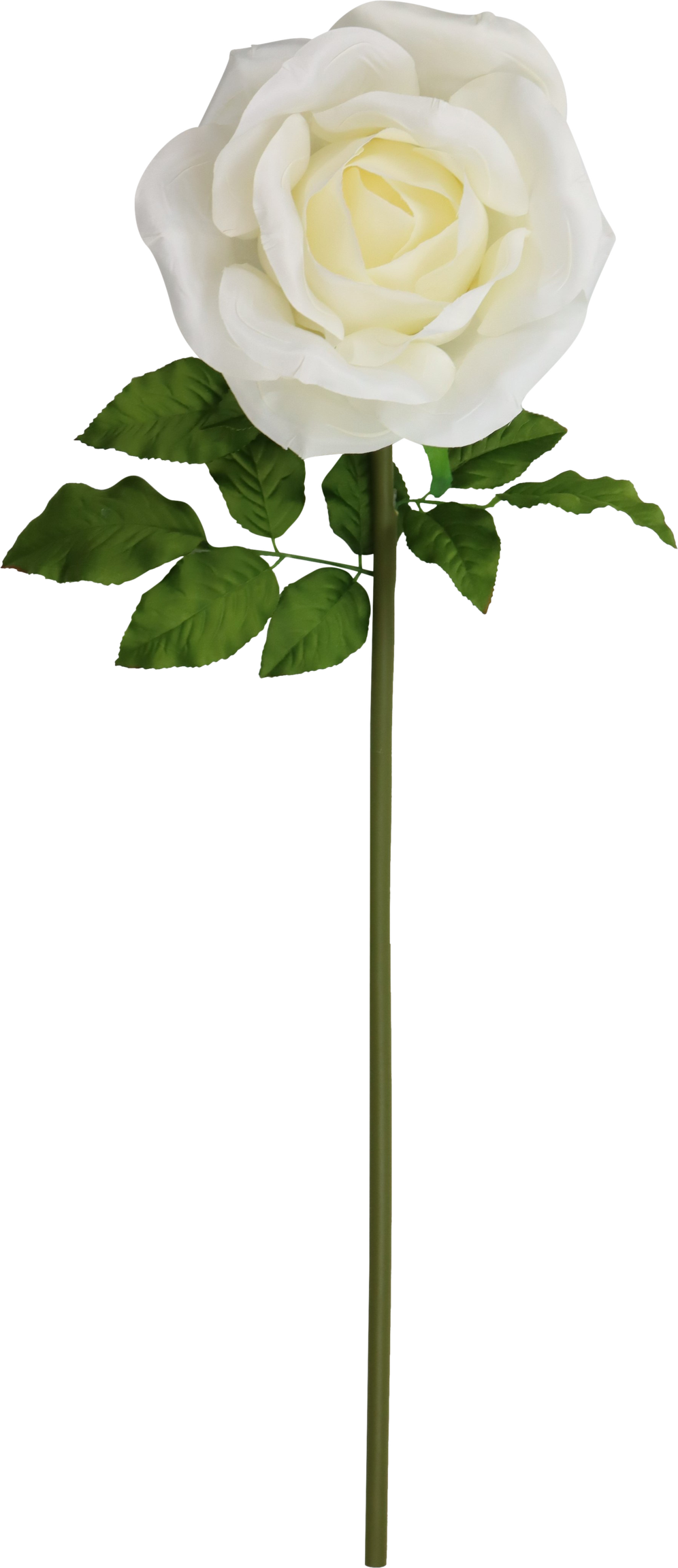 4929 FLEUR GÉANTE  ROSE