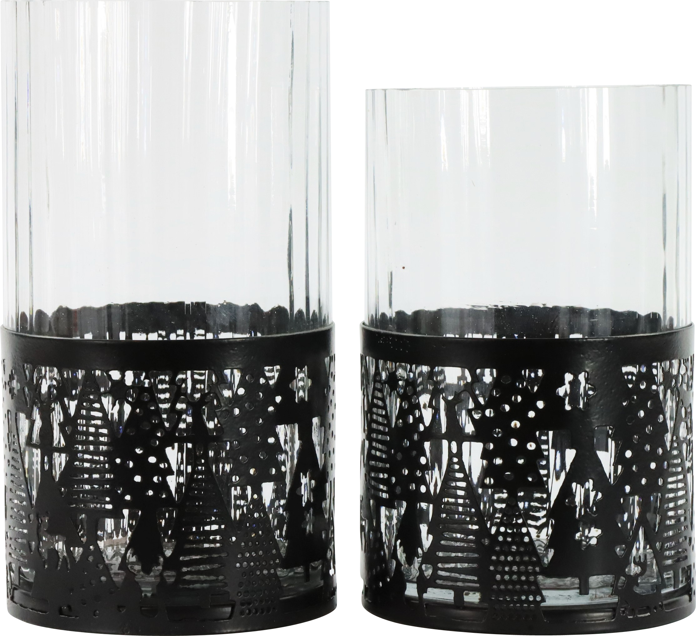 5116 PHOTOPHORES FOREST  2P