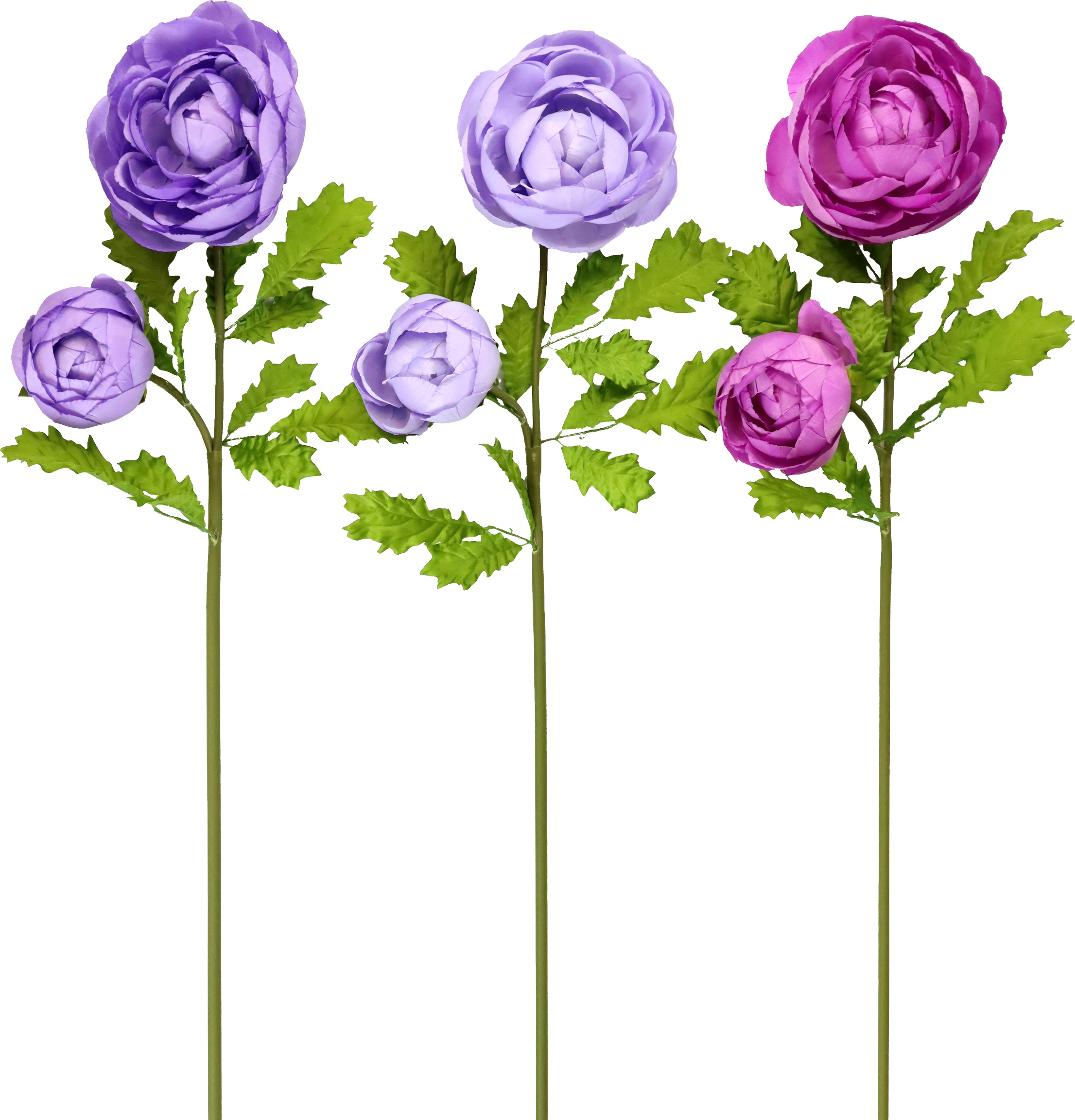 5271 FLOWERTRIO RANUUNCULUS  S/3