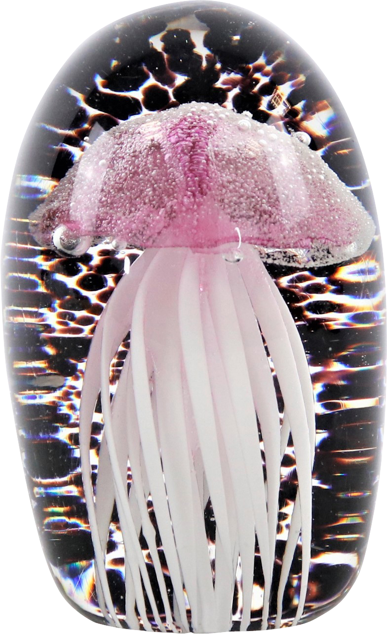 5292 PISAPAPELES  MEDUSA