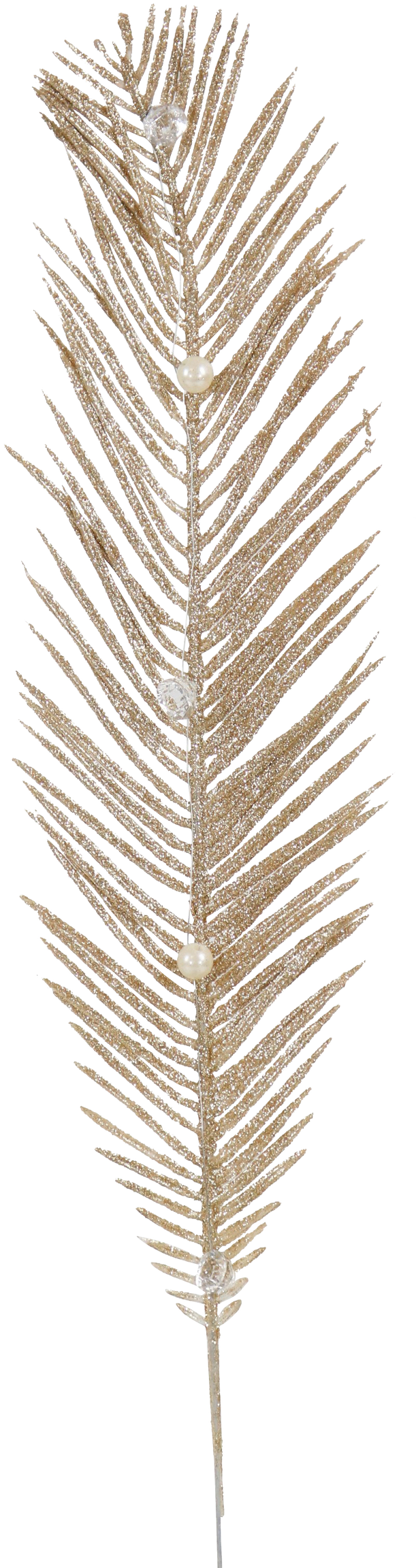 5500 BRANCHE  GLAMOUR