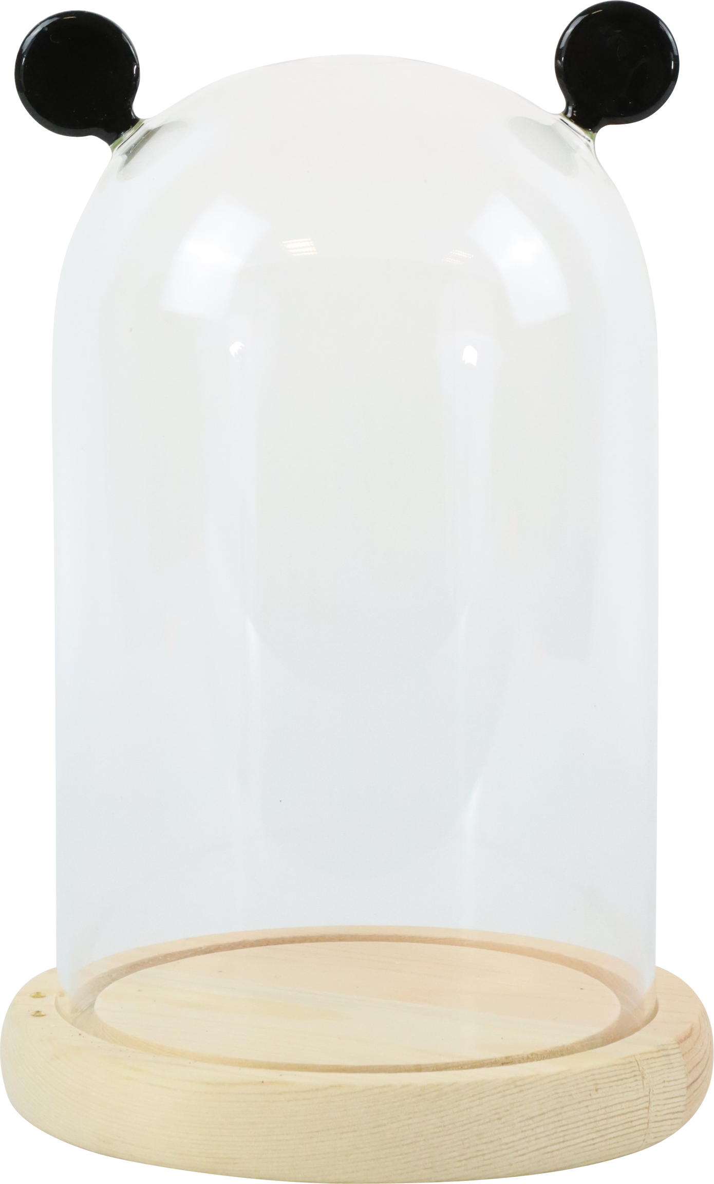 5542 CLOCHE EN VERRE BROADWAY