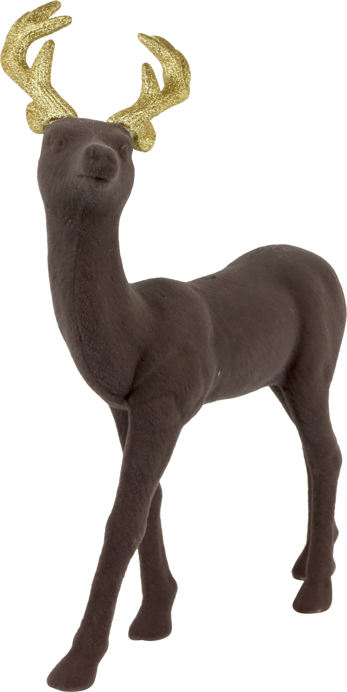 5731 HIRSCH DE PLACE WALDEMAR