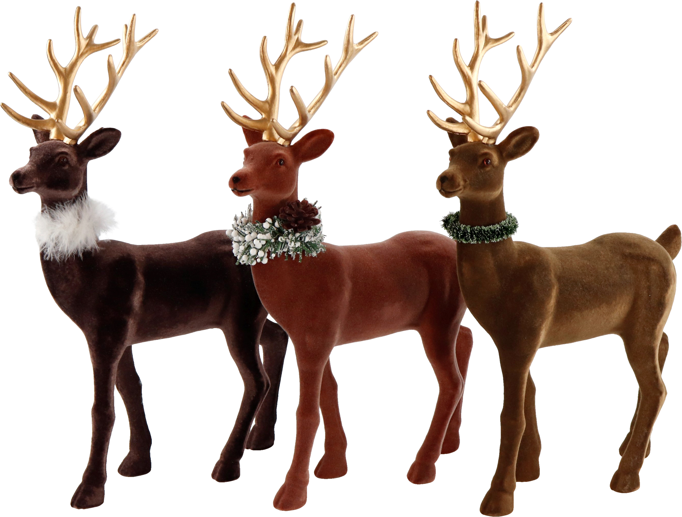 5740 CERFS GINGER  3P