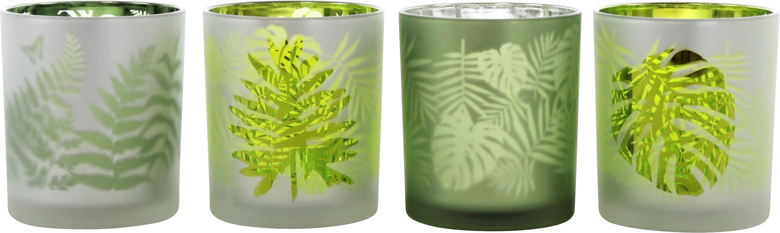 5786 PHOTOPHORES  LEAVES  4P