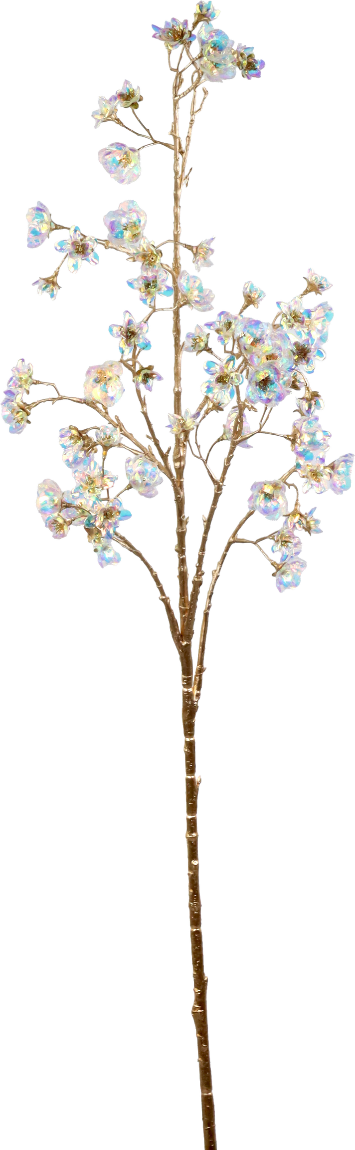 5942 BRANCHE  FLORA LUXE TRANSP.