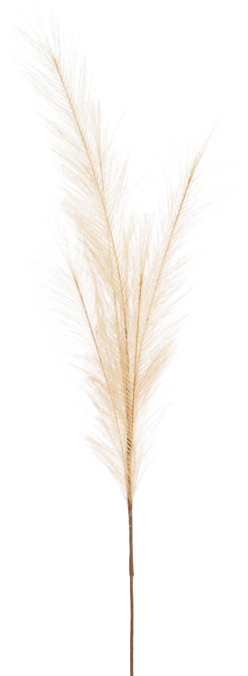 5982 PLUMA  SAND 80CM