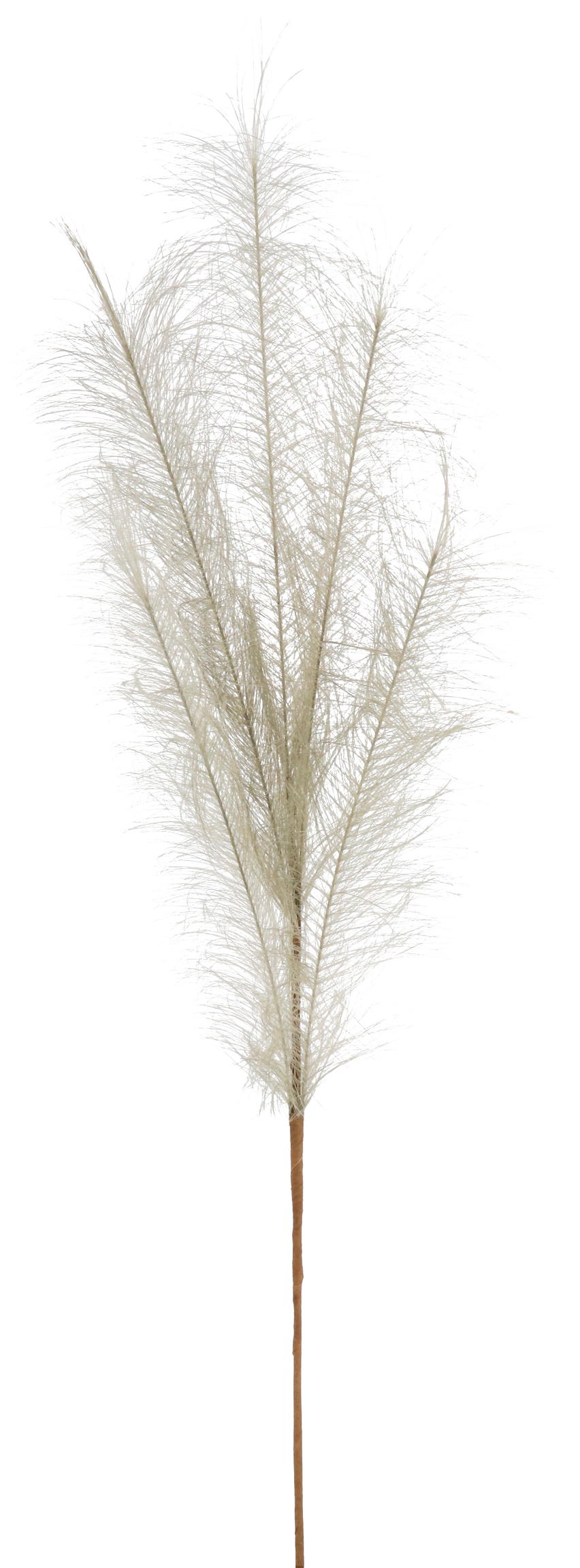 5984 PLUMA  TAUBENBLAU 80CM