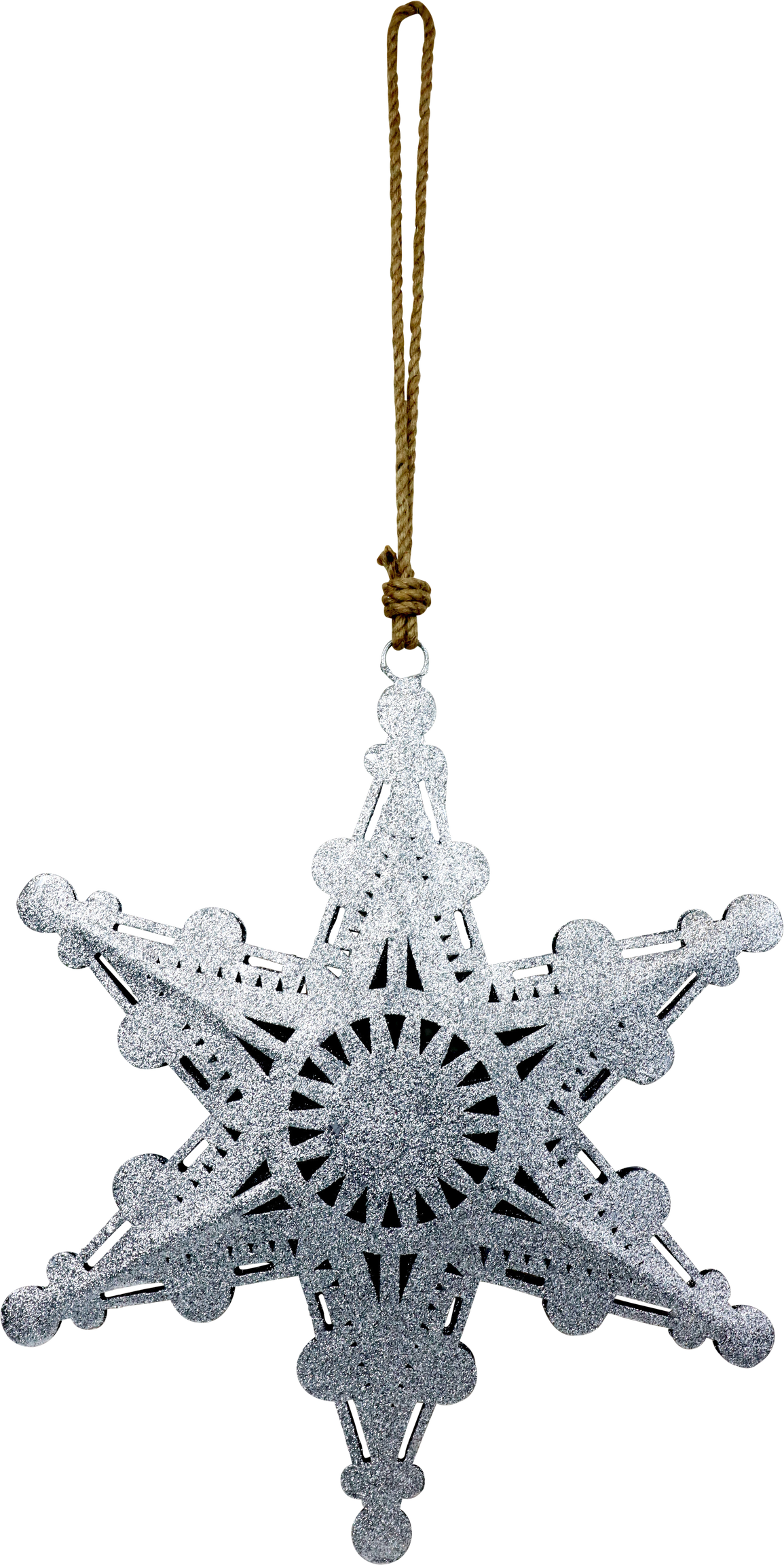 6033 ÉTOILE STARDUST