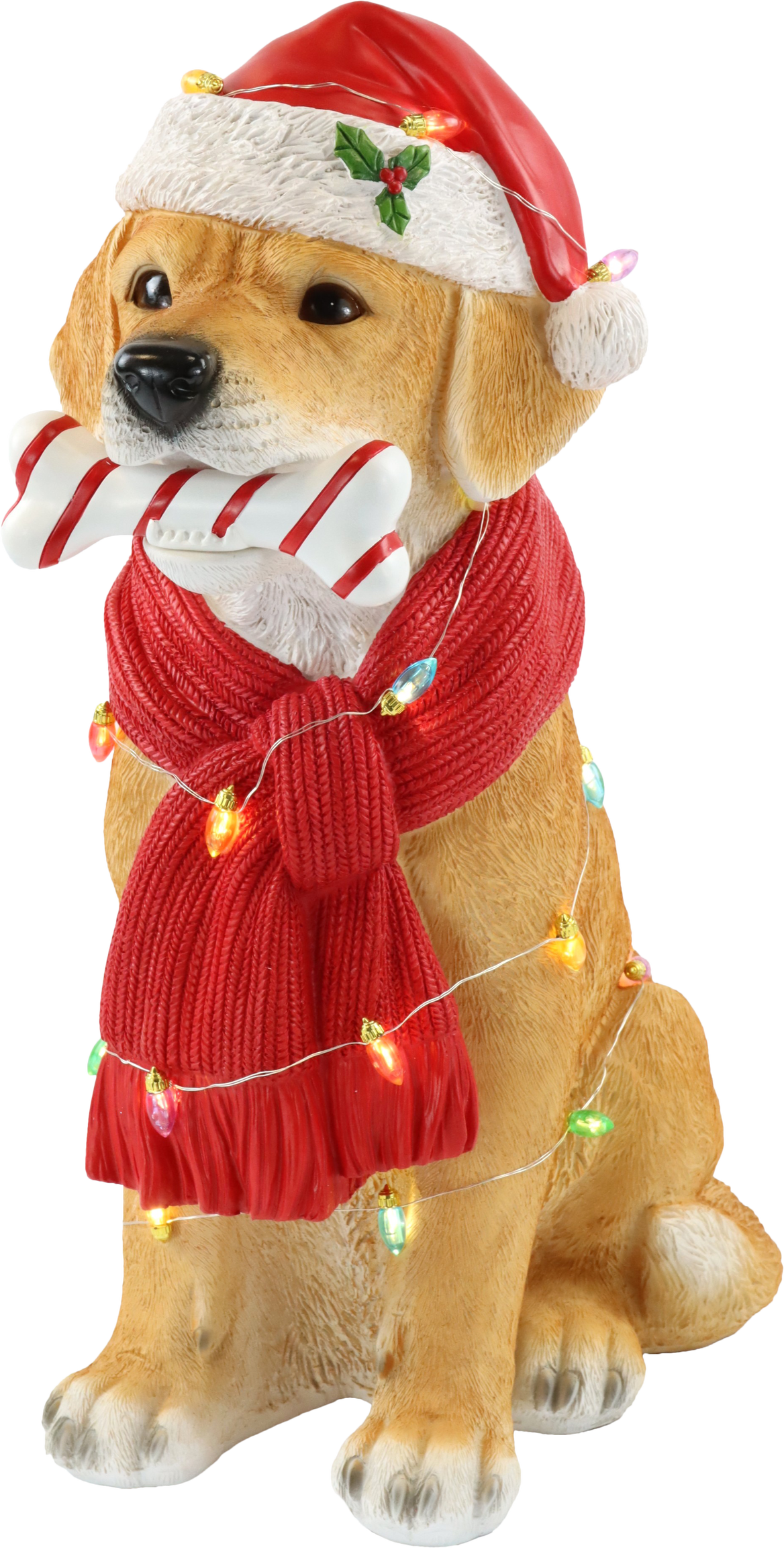 6047 LED-DOG SANTA DOG