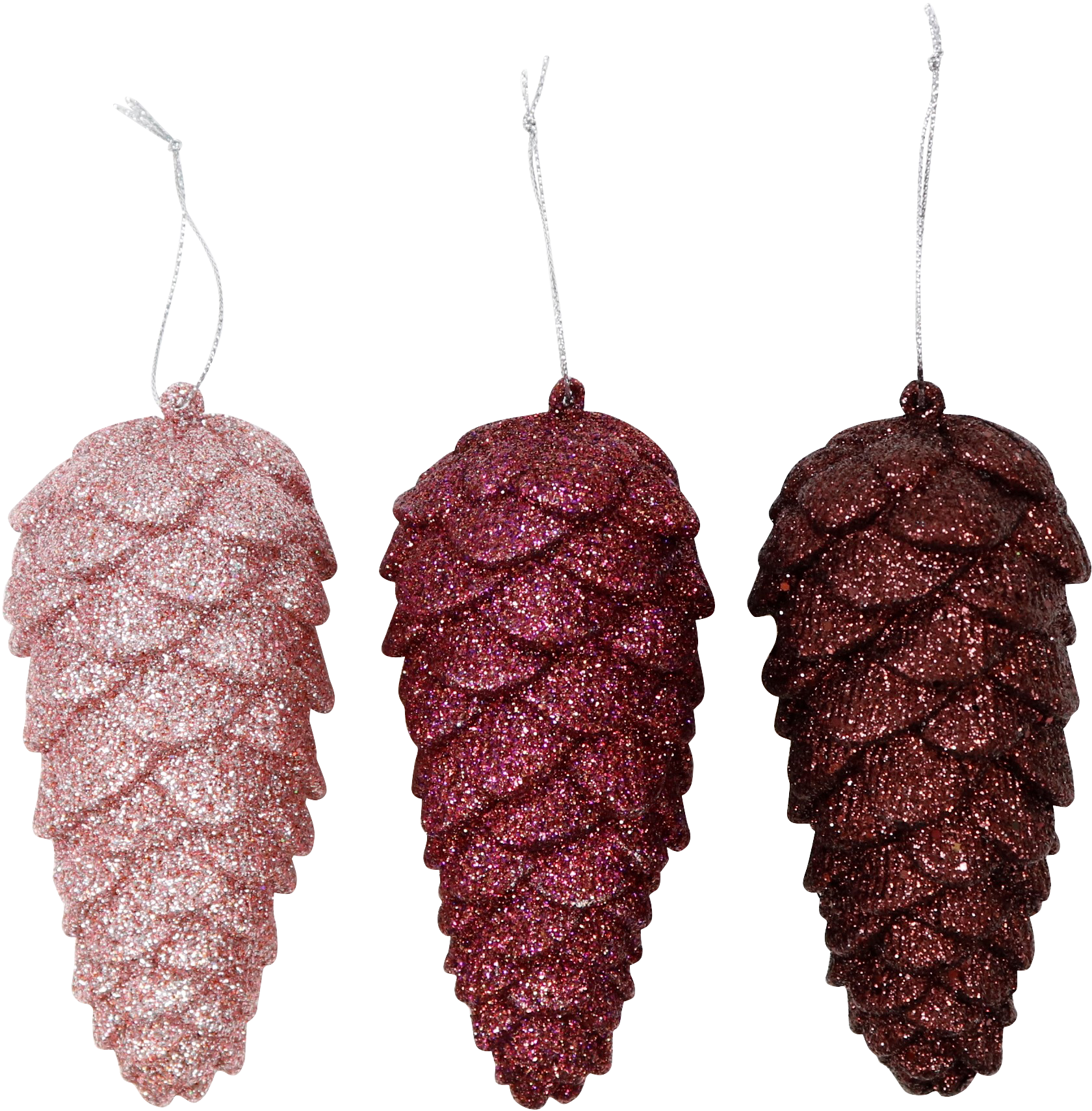 6221 POMME DE PIN  GLORY  3P