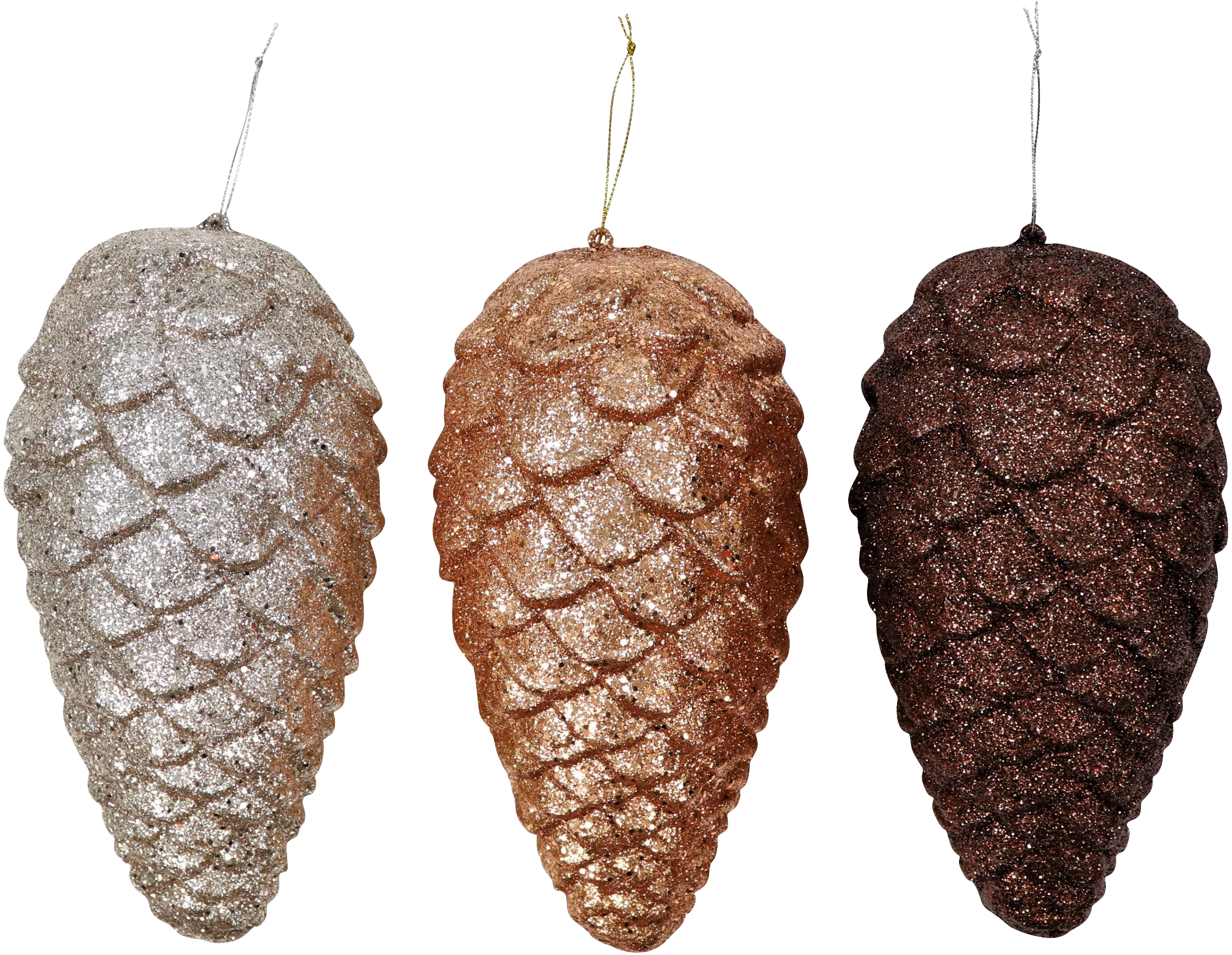 6236 POMME DE PIN  GLORY  3P