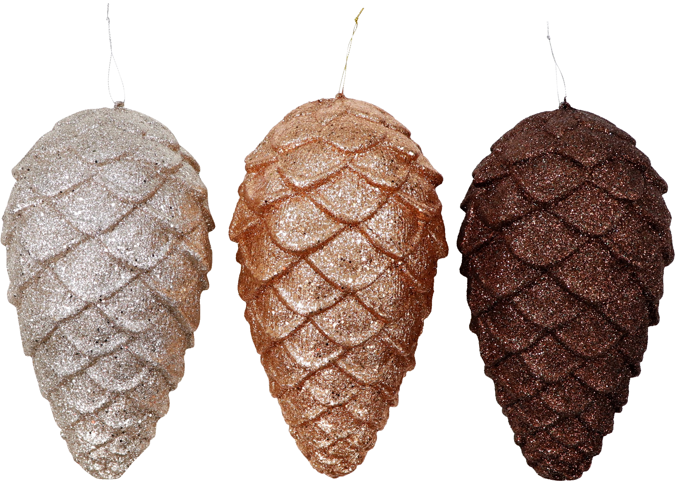 6240 POMME DE PIN  GLORY  3P