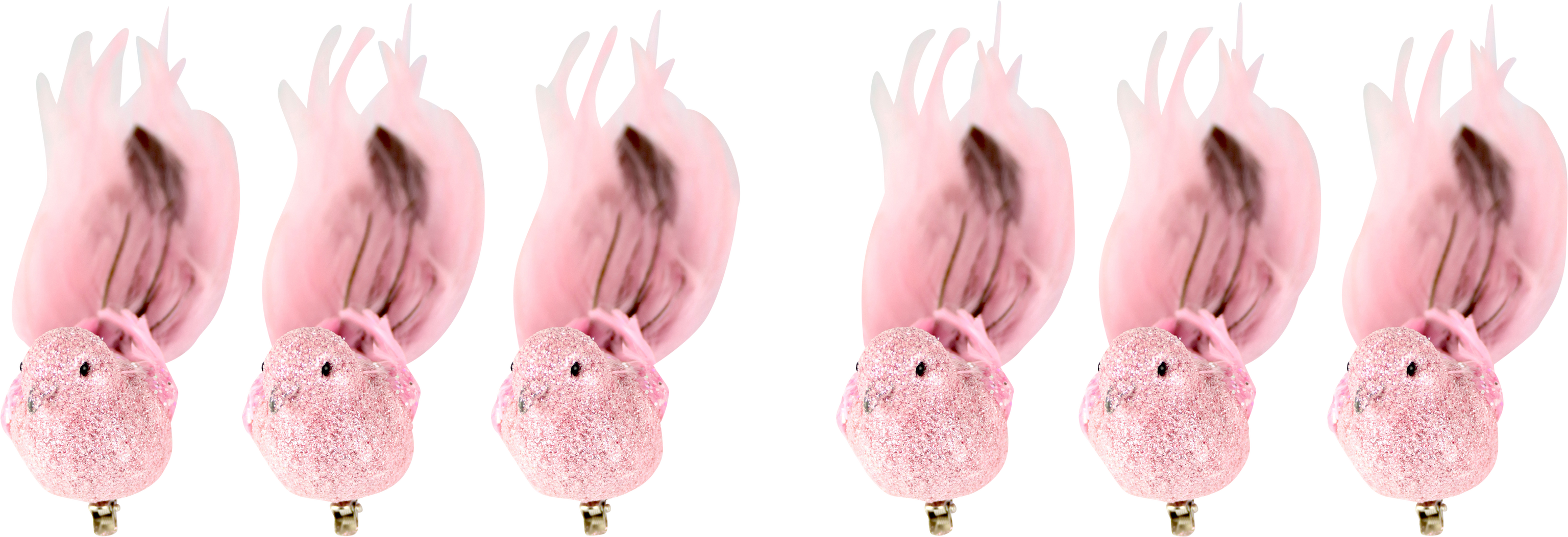 6664 PÁJAROS  FEDERSTOLZ  S/6